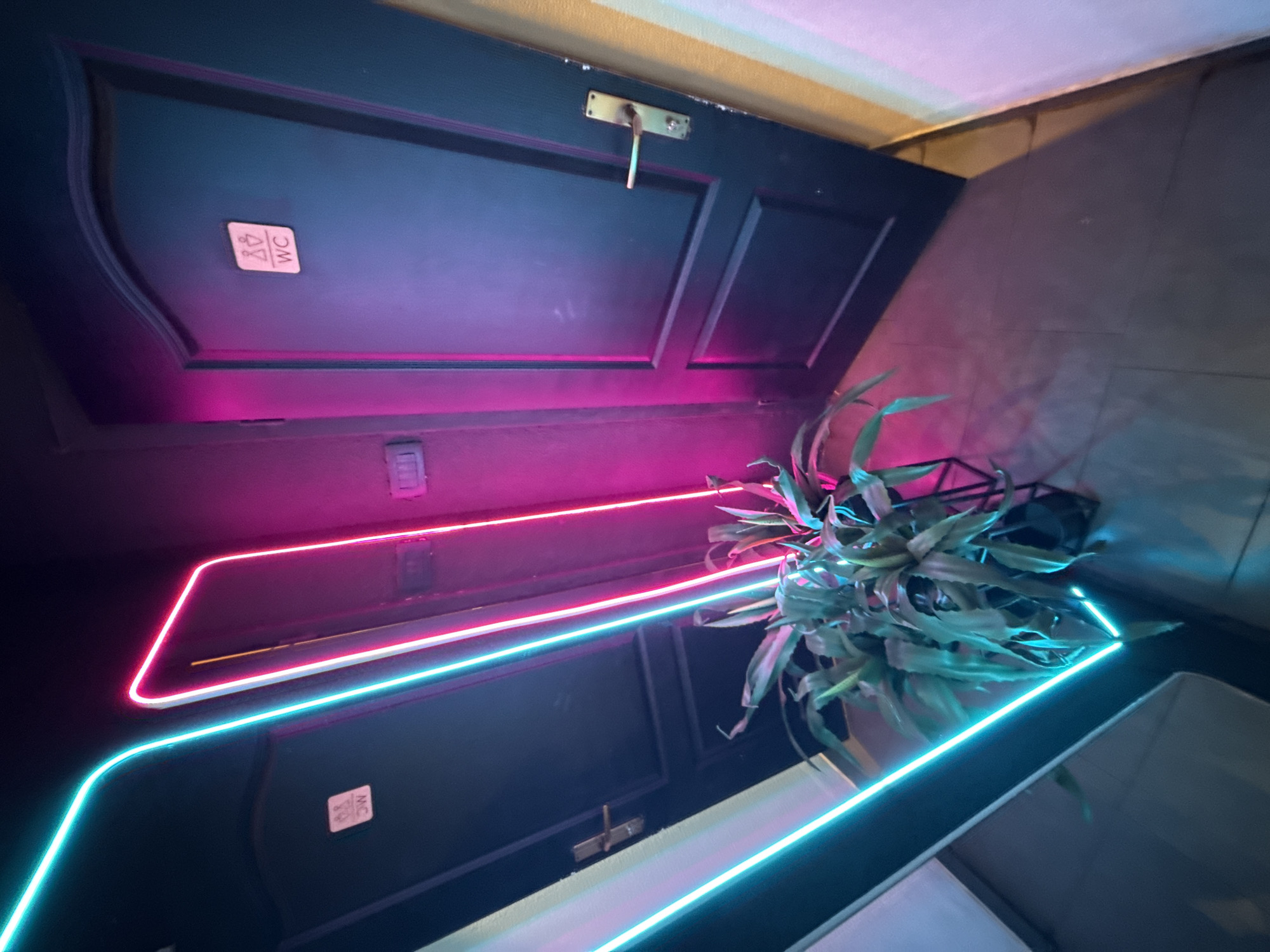 The image shows a dimly lit interior, possibly a bar in Montenegro, with two dark doors illuminated by vibrant neon lights. The top door has a small white sign with symbols for men and women and the text "WC". A metal door handle is attached to this door. Below this door, a pink neon light strip traces a rectangular shape. Further down, another dark door has a similar "WC" sign. A bright blue neon light strip outlines a geometric shape below this second door. A potted plant with spiky green leaves sits in a black geometric stand to the right of the doors, partially lit by the neon lights. The overall atmosphere appears modern and moody, with the neon lighting creating a striking contrast against the dark surfaces. The time of day is not discernible, but the artificial lighting suggests it could be evening or night.