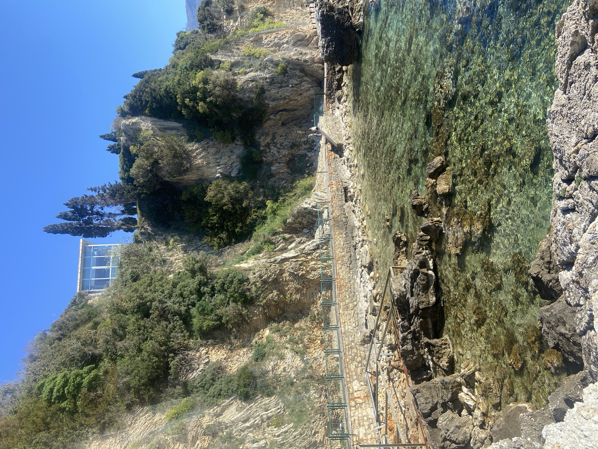 The image depicts a coastline scene in Budva, Montenegro, with a rocky cliff side on the left and clear turquoise water on the right. The cliff is covered in vegetation, including trees and shrubs. A pathway with metal railings runs along the base of the cliff. The water is shallow near the rocks, with visibility to the seabed. A modern building with large glass windows is visible on the top of the cliff. The sky is clear and blue.