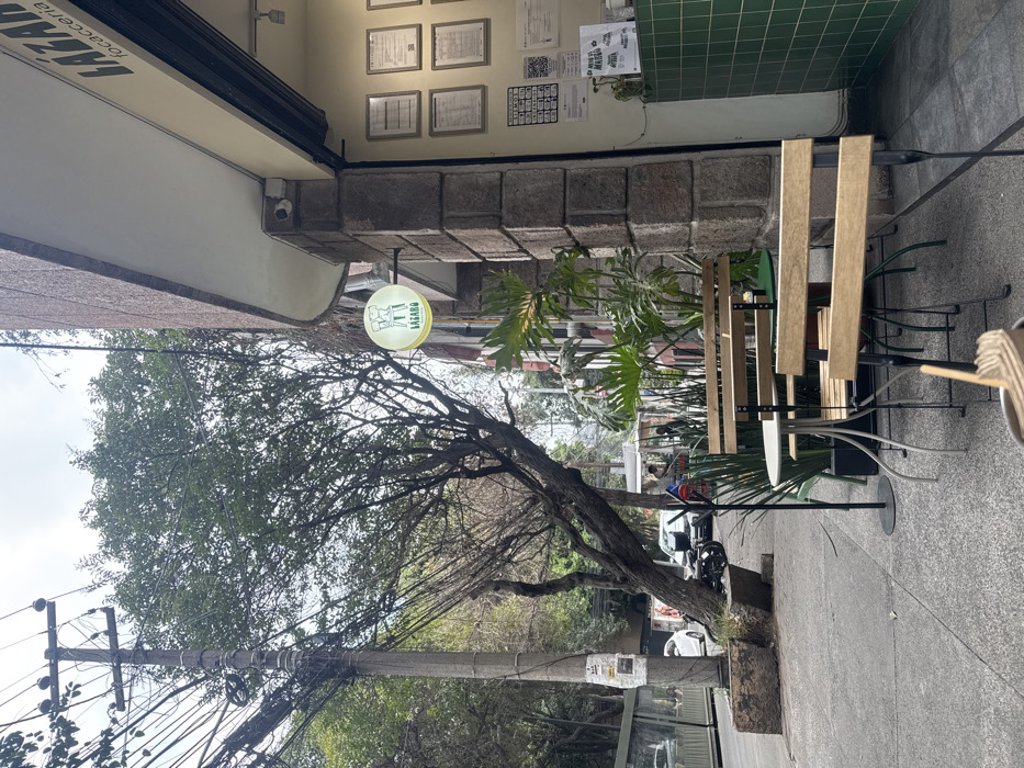 This image depicts an outdoor sidewalk dining area in front of LÁZARO focacceria, located on Calle Colima in Colonia Roma Norte, Mexico City, Mexico. The foreground features two small outdoor tables, one with a white top and one with a green top, surrounded by four wooden-slat chairs with black metal frames. Potted plants are positioned around the tables and against the building facade. A circular, illuminated sign displaying "LÁZARO" and an emblem is mounted on the rough-hewn stone column of the building. Above the entrance, a security camera is visible. Inside the establishment, a green-tiled counter runs along the wall, which also displays several framed documents. To the left, a large tree with a gnarled trunk and green leaves grows from a concrete planter on the sidewalk. Behind it stands a concrete utility pole heavily laden with numerous intertwined electrical and communication wires. Further down the street, various vehicles, including a white car and a motorcycle, are parked or in motion. Several indistinct human figures are visible on the sidewalk and street in the background. The sky is overcast.