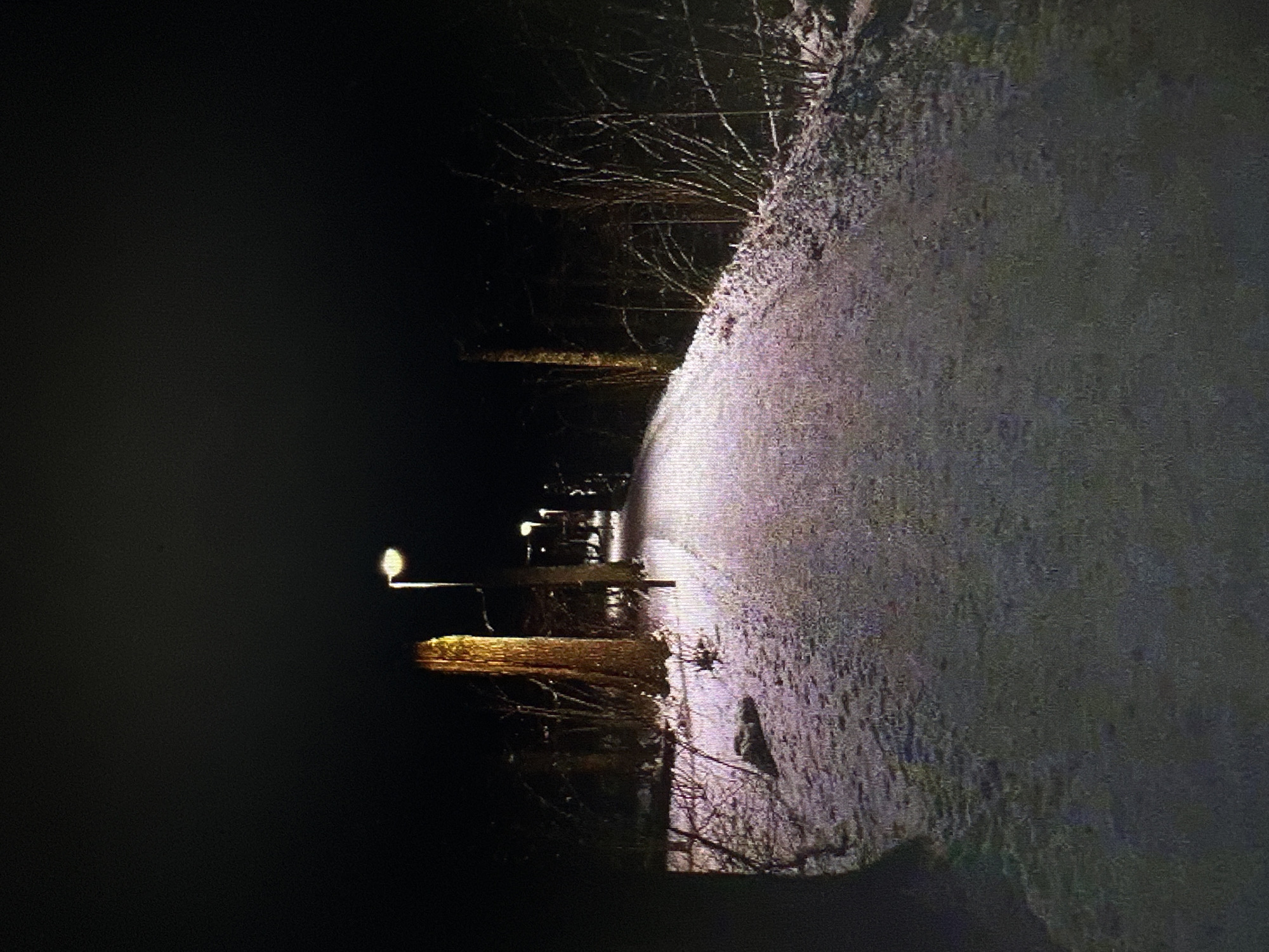 A dimly lit, snow-covered pathway winds through a wooded area at night. The path is illuminated by several streetlights, casting a soft glow on the snow and the surrounding trees. The trees appear bare, their branches stark against the dark night sky. The snow on the ground is compacted, suggesting it has been traversed. There are no people visible in the image. The scene conveys a sense of quiet solitude and the stark beauty of a winter night.