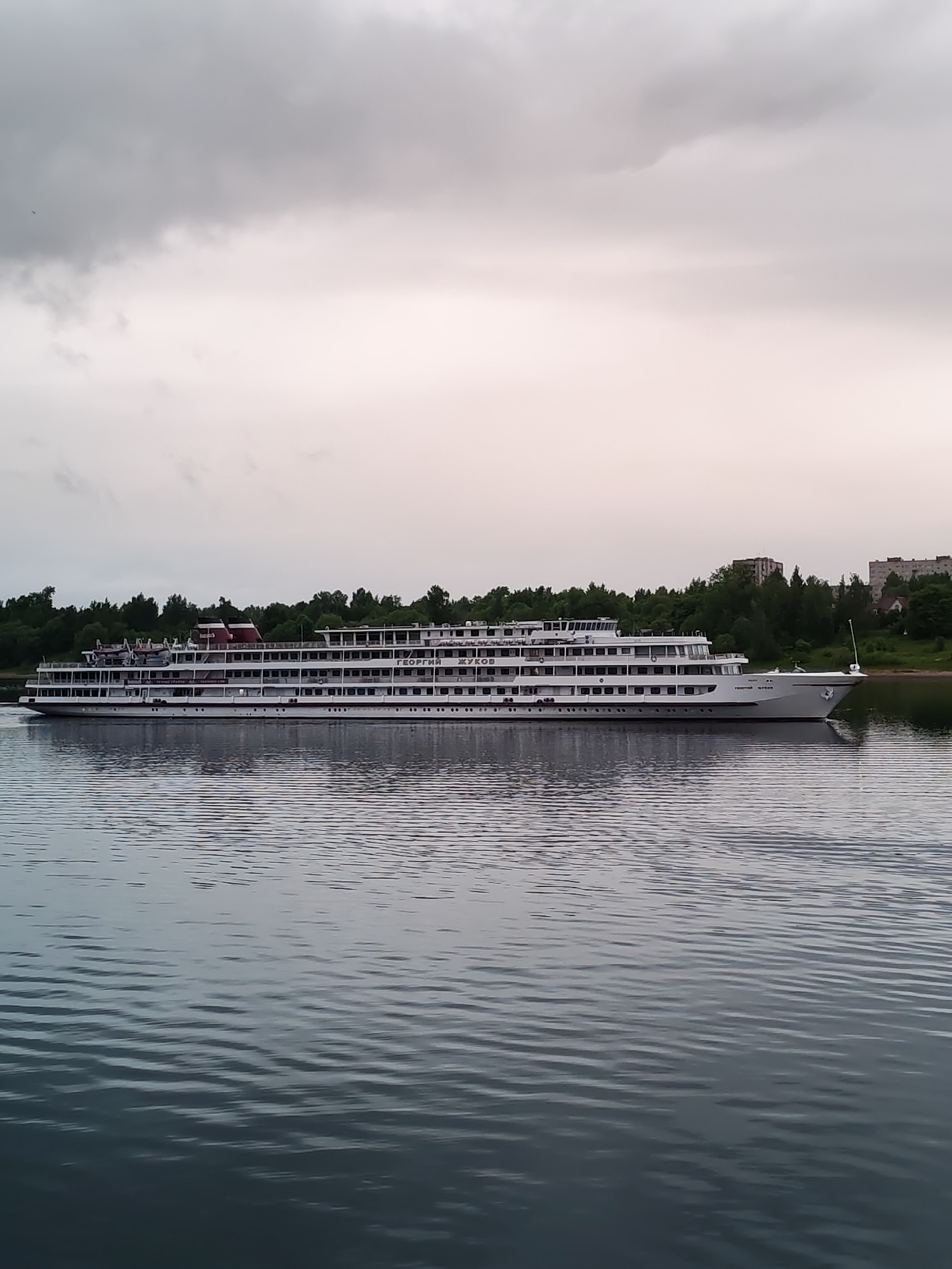 The image shows a large, white passenger ship with multiple decks floating on a calm body of water. Trees line the shore behind the ship, and a few buildings are visible further back. The sky is overcast, with gray clouds dominating the scene. The location is in Bol'shie Mkhi, Russia. The ship appears to be stationary or moving very slowly. There are no visible people in the scene.