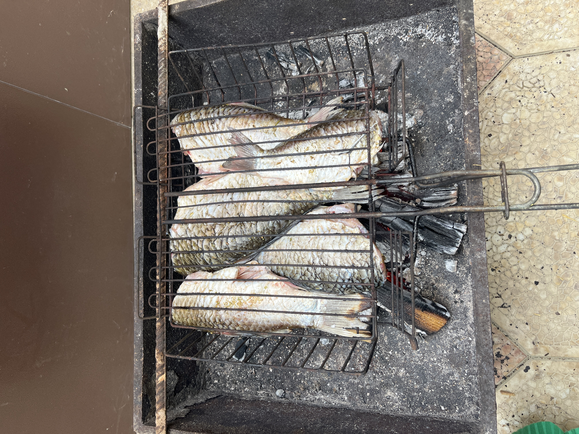 The image shows four fish grilling on a metal rack over charcoal in what appears to be a grill. The fish have a light-colored belly and darker scales on their backs. There is burnt wood and charcoal beneath the grill. The grill is on a surface that appears to be concrete or stone, with a pattern of light-colored tiles nearby. The scene is a close-up view of the grilling process. There is no information available to determine the location is in Kaspiysk, Russia.