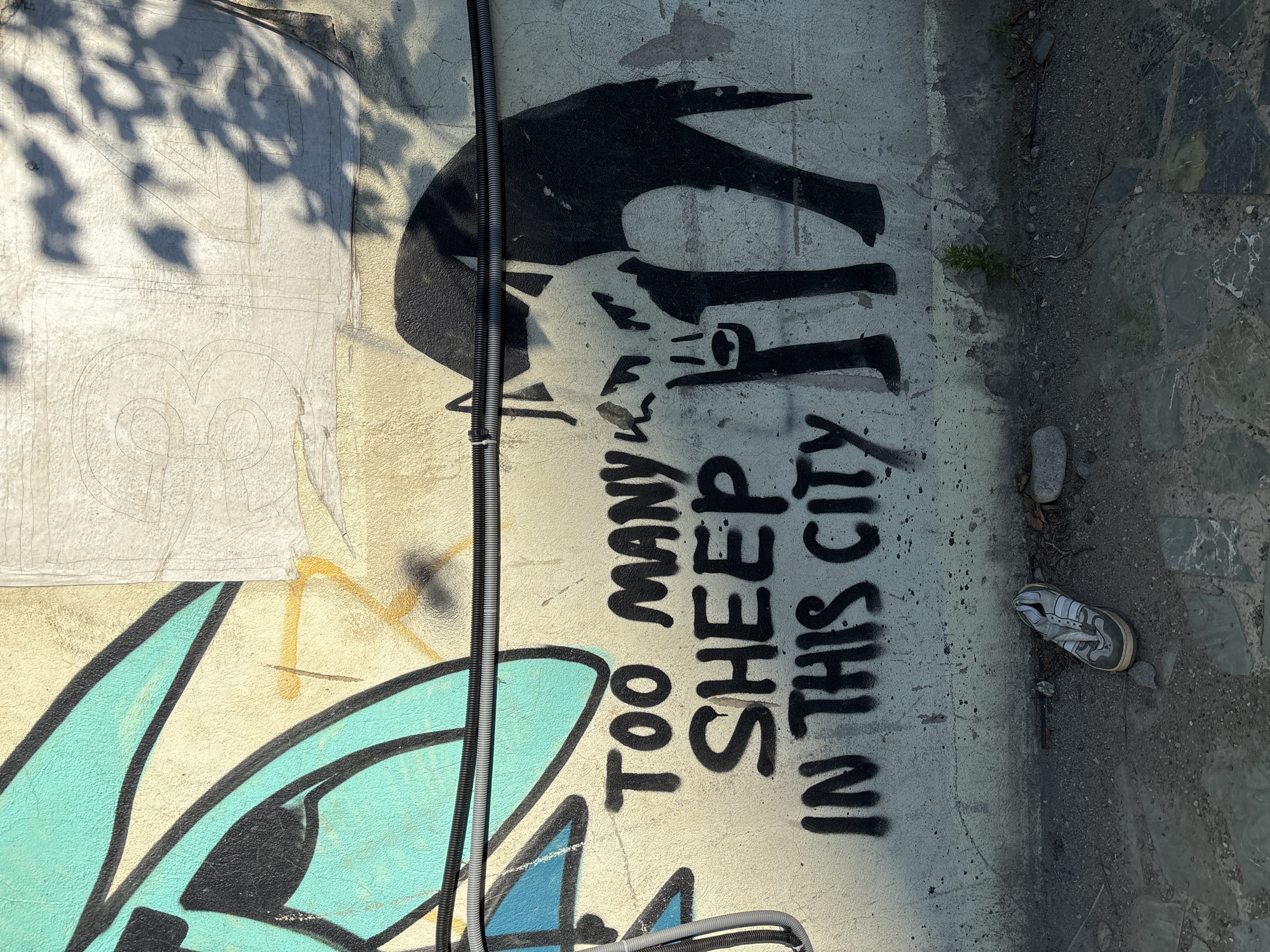The image shows a section of a textured concrete wall with graffiti. A black stencil of a bird in flight is visible, with its wings spread and beak pointed downwards. Below the bird stencil, black spray-painted text reads "TOO MANY SHEEP IN THIS CITY". To the left of the graffiti, there are remnants of what appears to be older artwork or stencils on the wall, with outlines of letters and shapes, partially covered by a lighter colored material and some subtle shadows from foliage. A corrugated black electrical conduit runs vertically along the wall, partially obscuring the graffiti and the older artwork. To the right of the wall, the ground is a mixture of gravel, dirt, and broken stone tiles. A single, worn grey and white sneaker lies on the ground near the wall. The lighting suggests it is daytime, possibly outdoors in an urban or industrial setting. The overall mood conveyed is one of urban decay and social commentary, with the graffiti appearing to be the primary focus.