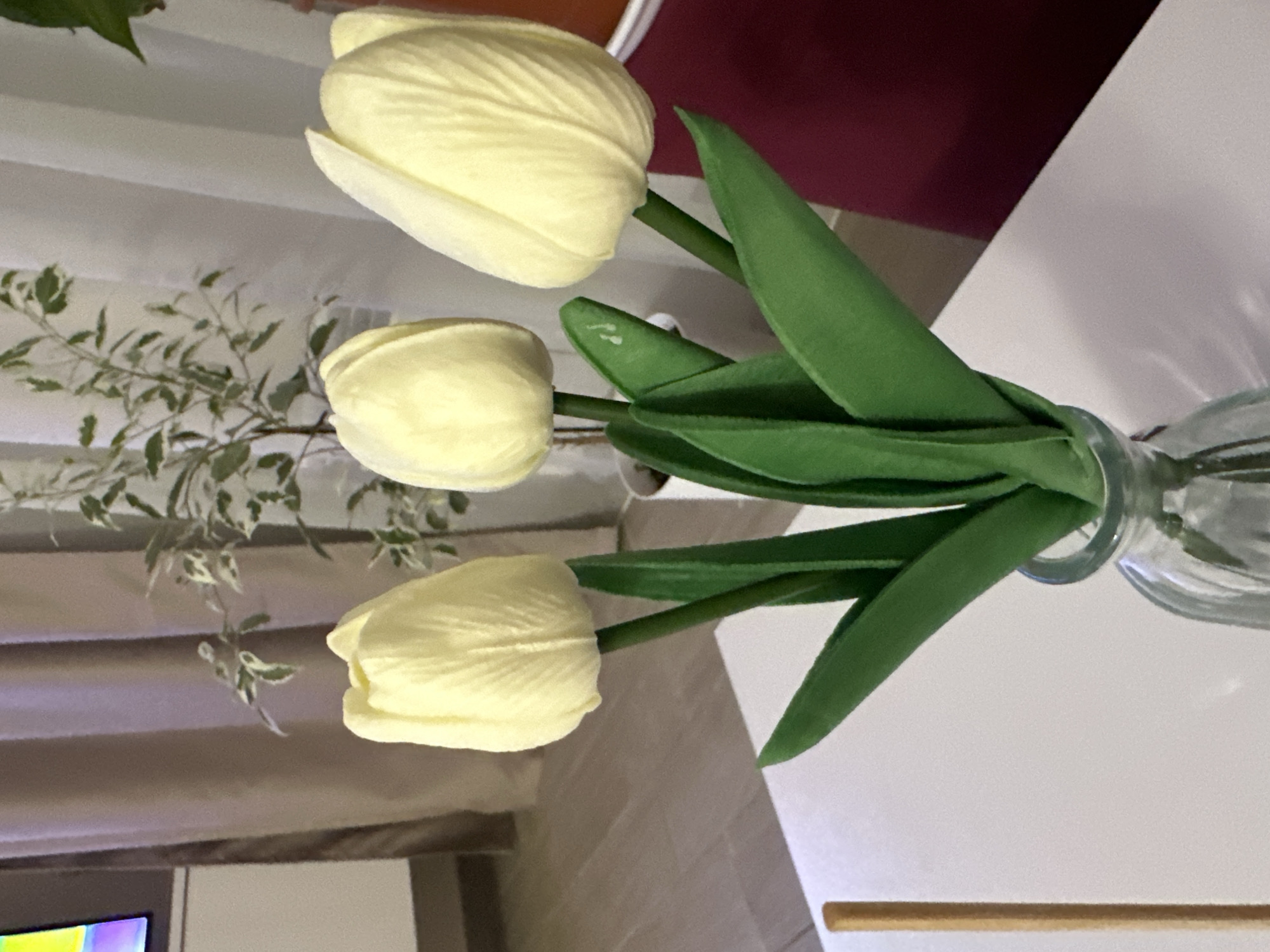 The image displays an indoor still life scene, rotated 90 degrees clockwise, primarily featuring three light yellow artificial tulips arranged in a clear glass vase. The tulips have prominent green stems and broad green leaves, with one leaf showing a small white mark near its tip. The vase rests on a white, flat surface, likely a table, which occupies the lower right portion of the rotated image.
In the background, behind the floral arrangement, another plant with small, variegated green and white leaves is visible. A light-colored wall or curtain forms the backdrop to the left, while a reddish-brown surface appears in the upper right. The overall lighting suggests an indoor setting, possibly during the day or evening, with soft, ambient illumination. A glimpse of what appears to be a colorful screen, potentially a television, is visible in the bottom-left corner. No people are present, and there is no discernible activity taking place. The scene conveys a sense of calm and decoration. There is no visible text. The image itself does not contain specific cues to identify the location as Sofia, Bulgaria.