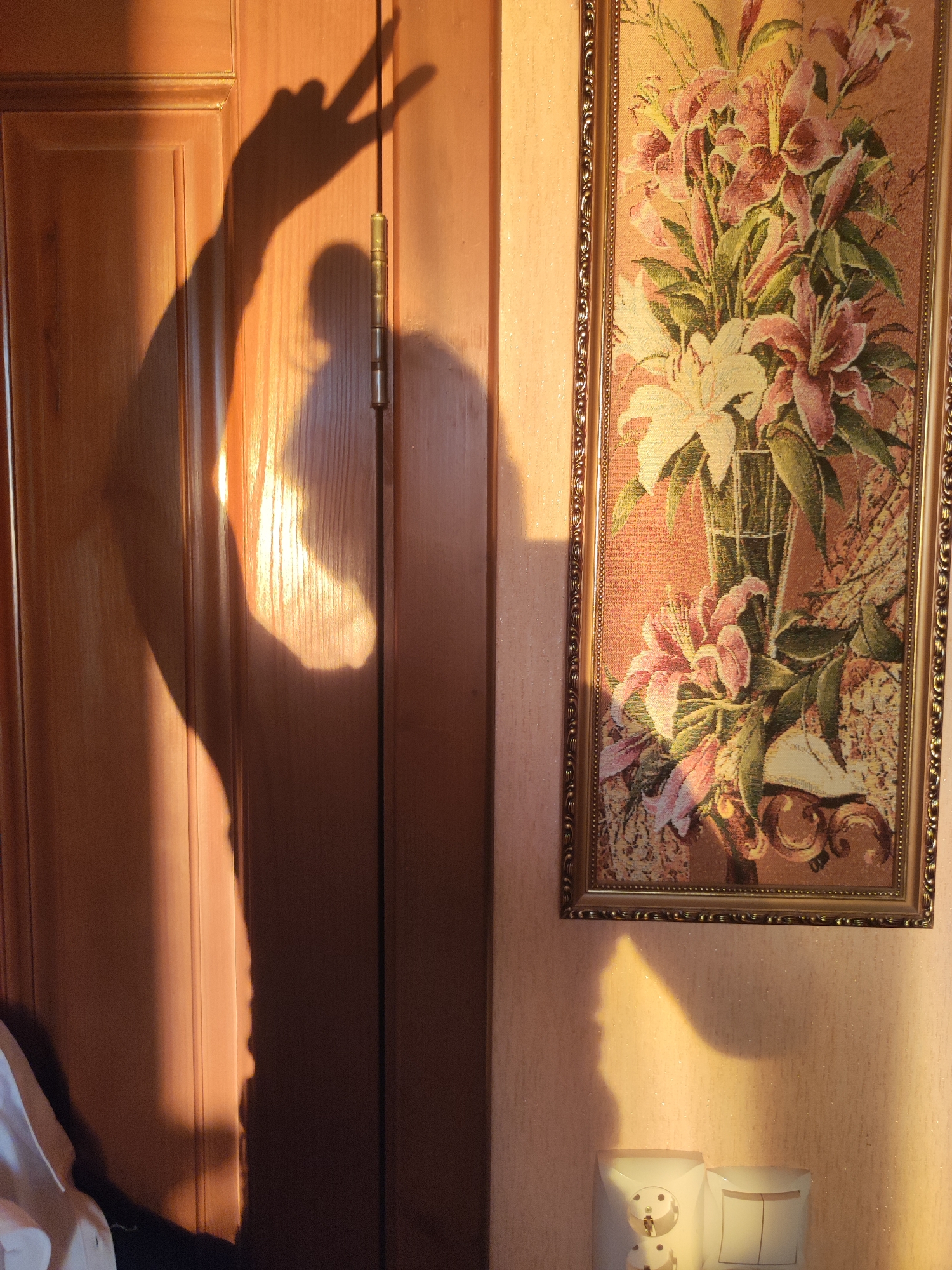 A shadow of a person's arm and head appears on a wooden door, with the hand forming a "peace" sign. The shadow is cast by a light source from the left. To the right of the door, a framed tapestry depicting a floral arrangement hangs on a wall. Below the tapestry, two electrical outlets are visible. The location is potentially an interior space within a residential or commercial building. There is no evidence within the picture to conclude that it is from the city of Votkinsk, Russia. The items depicted include: a wooden door, a shadow, a tapestry, and electrical outlets.