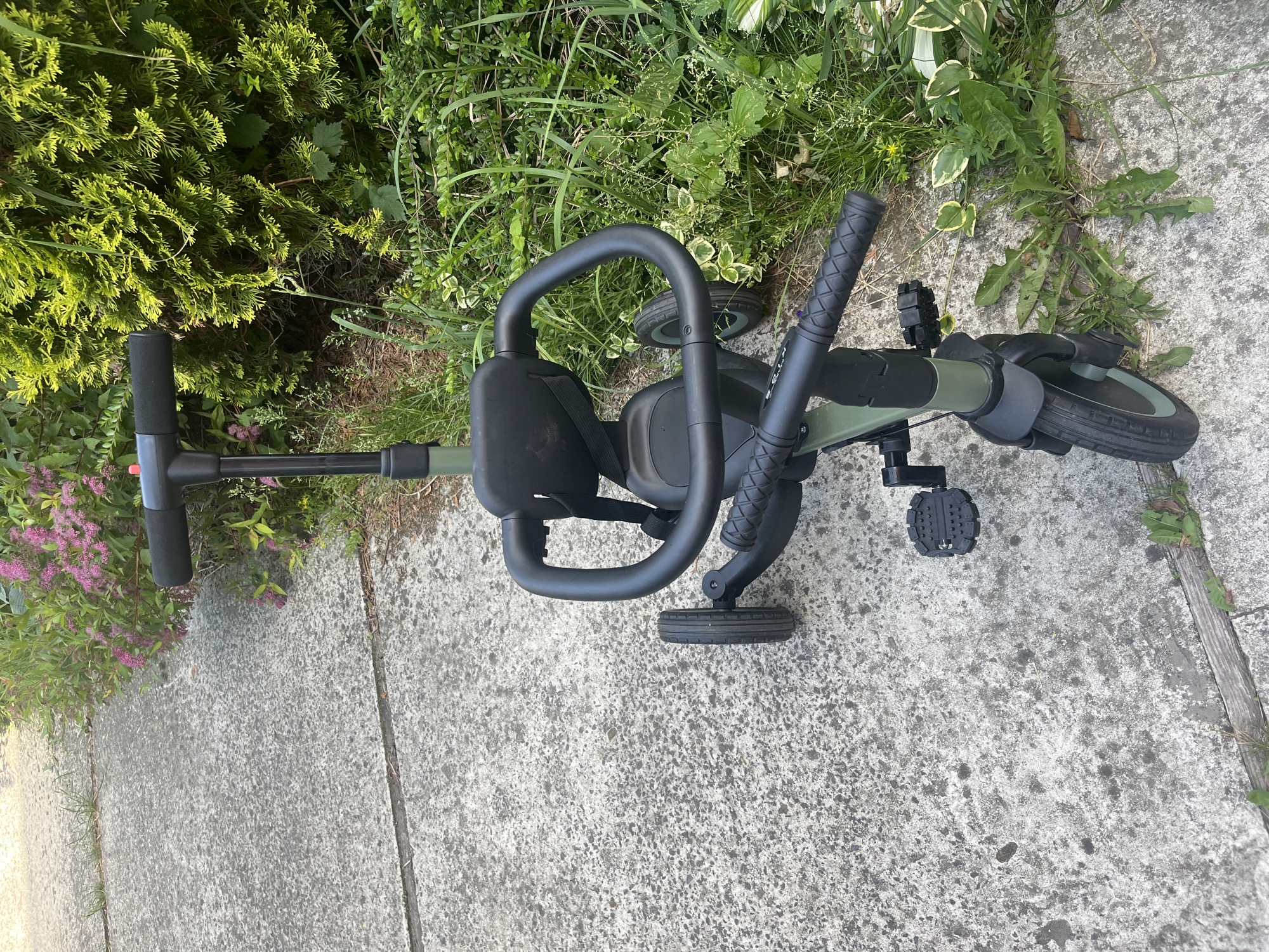 The image depicts a child's tricycle situated on a concrete pathway adjacent to a dense strip of vegetation in the city of Onokivtsi, Ukraine. The tricycle is predominantly olive green with black components, including the handlebars, seat, pedals, and the top portion of the push handle. It features three wheels; the front wheel is equipped with pedals, while two smaller rear wheels are visible. The concrete pathway is light gray, exhibiting a coarse, textured surface with visible expansion joints and scattered minor debris or stains. Small weeds and blades of grass are growing from cracks in the concrete, particularly near the edge bordering the plants.
To the right of the pathway, a vibrant and varied array of plant life creates a natural border. In the immediate foreground, a patch of dandelions and other broadleaf weeds grow alongside the concrete. Behind these, a mix of green foliage includes some plants with variegated leaves (light green with white edges). Further back, a bush with small pink flowers (possibly a type of spiraea) is visible, and behind it, a large, dense shrub with bright green, feathery foliage (resembling a conifer like arborvitae or juniper) dominates the background. The lighting suggests an outdoor environment during daylight hours. No people or animals are present in the scene, and no specific actions or interactions are depicted.