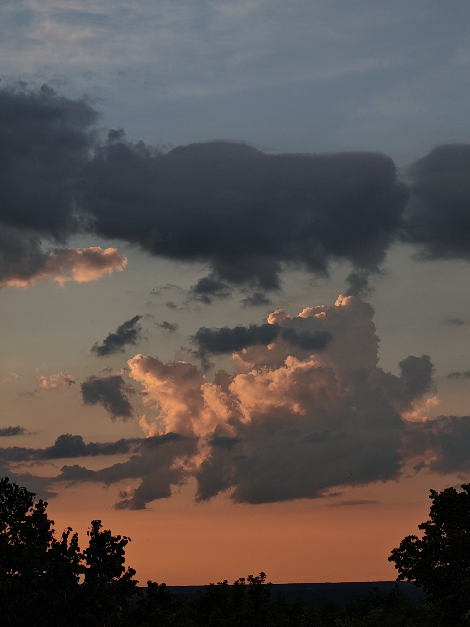The image depicts a dramatic sunset over a rural landscape, likely in the vicinity of Семёновка, Russia. The sky is filled with a striking contrast of dark, brooding storm clouds and luminous, peach-colored cumulus clouds illuminated by the setting sun. The lower portion of the sky is a vibrant orange, transitioning to a pale blue-grey towards the top. Silhouetted against this colorful backdrop are the dark, jagged outlines of trees and a distant, dark horizontal line suggesting a horizon or a densely wooded area. There are no people, animals, or visible man-made structures in the image, emphasizing a natural and somewhat solitary scene. The overall impression is one of atmospheric intensity and the raw beauty of nature.