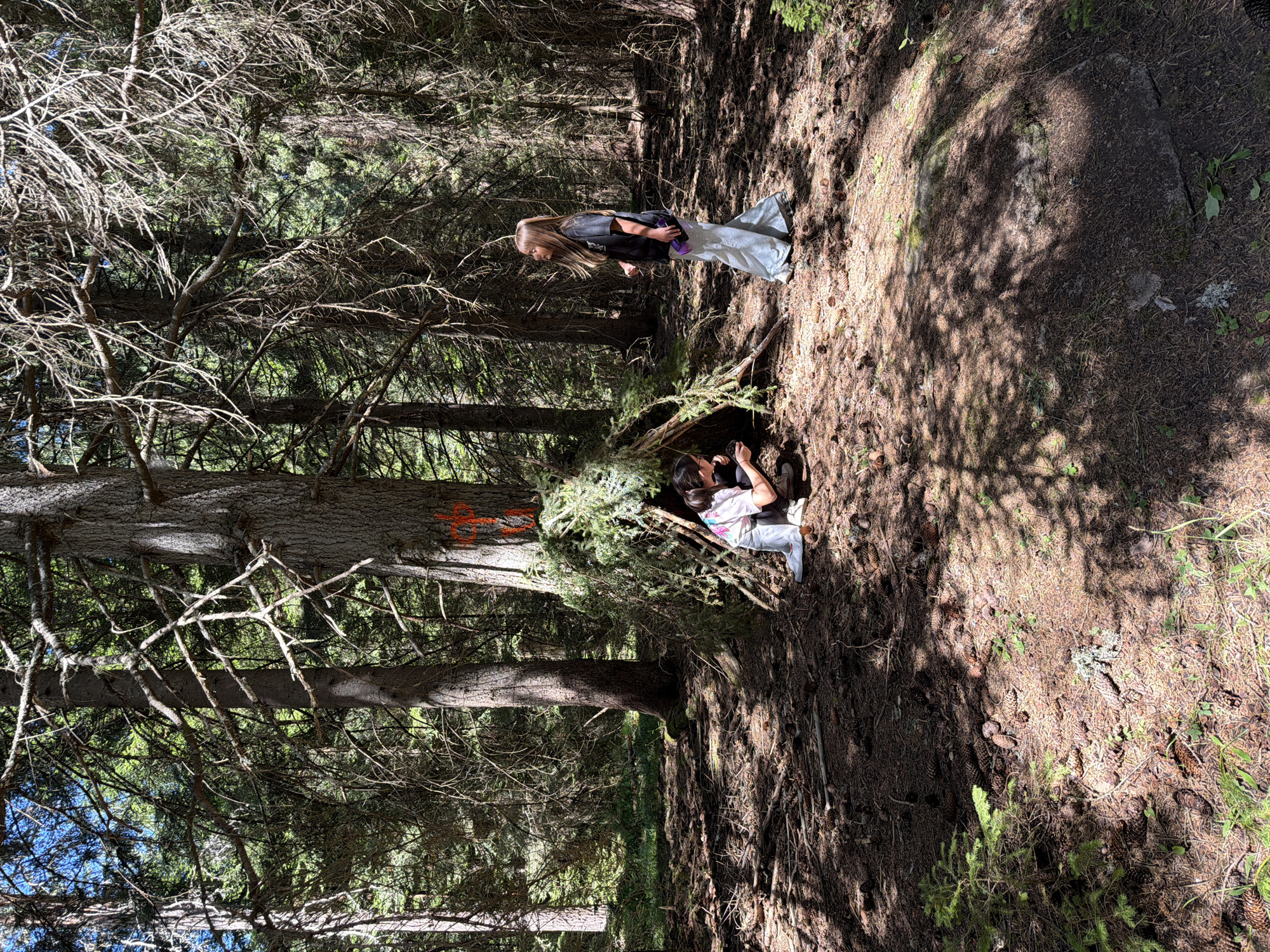 In a forest near Sarnitsa, Bulgaria, two young girls are engaged in an outdoor activity. One girl, wearing a white and pink shirt and light blue pants, is crouched down near a makeshift shelter constructed of branches and foliage. She appears to be examining something on the ground. The other girl, wearing a black t-shirt and light blue wide-leg pants, stands a short distance away, looking up and to the side. The shelter is built against a large tree that has an orange 'X' marked on it. The forest floor is covered with pine needles, cones, and fallen branches, indicating a natural woodland environment. Sunlight filters through the dense canopy of evergreen trees, casting dappled shadows on the ground.