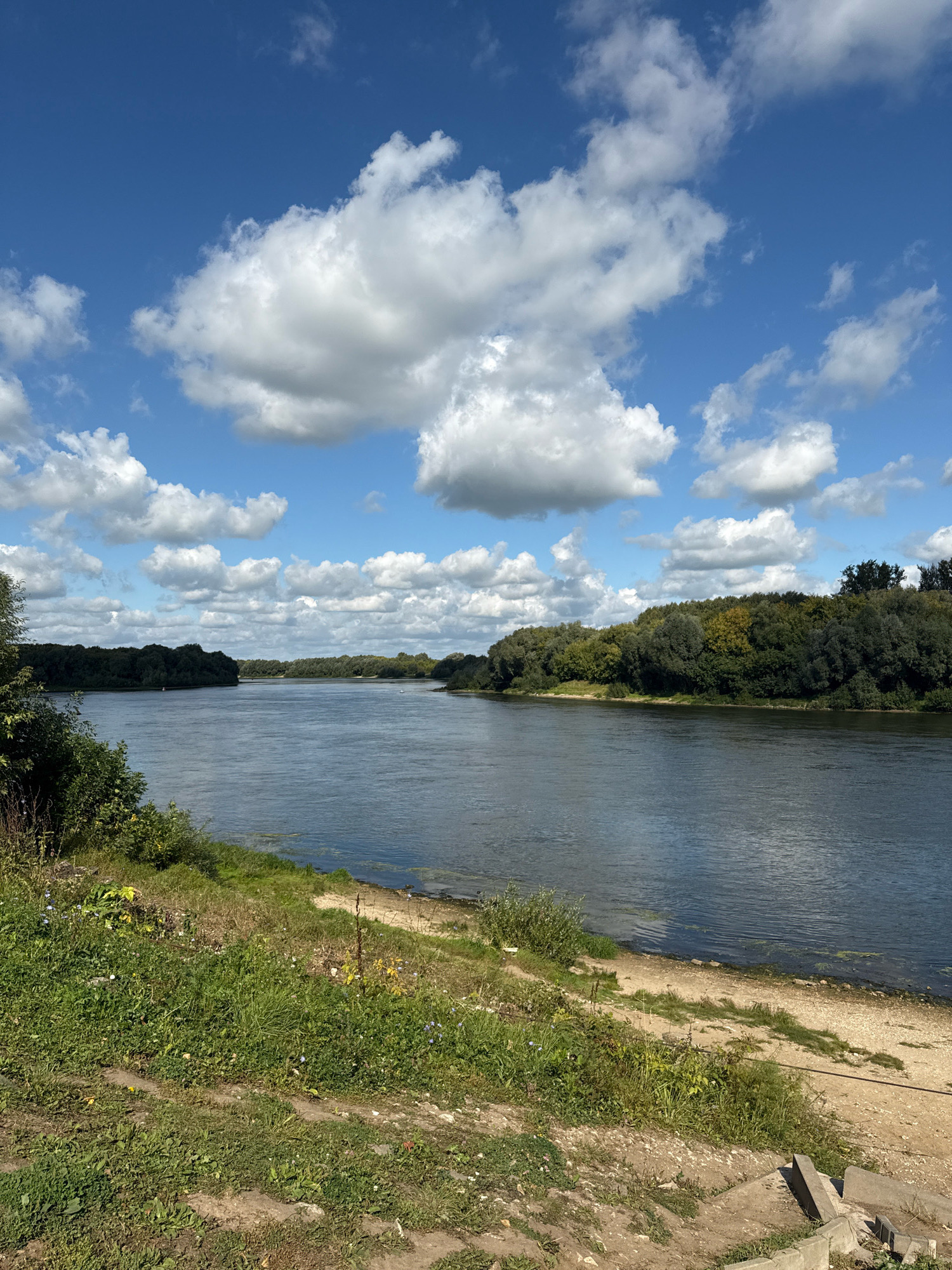 The image depicts a wide, calm river flowing through a lush, green landscape under a bright blue sky dotted with fluffy white clouds. The riverbanks are lined with dense forests and vegetation. In the foreground, there is a grassy embankment with a dirt path leading down towards the water. A few small boats are visible on the river in the distance. The scene suggests a tranquil natural setting, possibly a park or a scenic area within or near the city of Ryazan, Russia.
