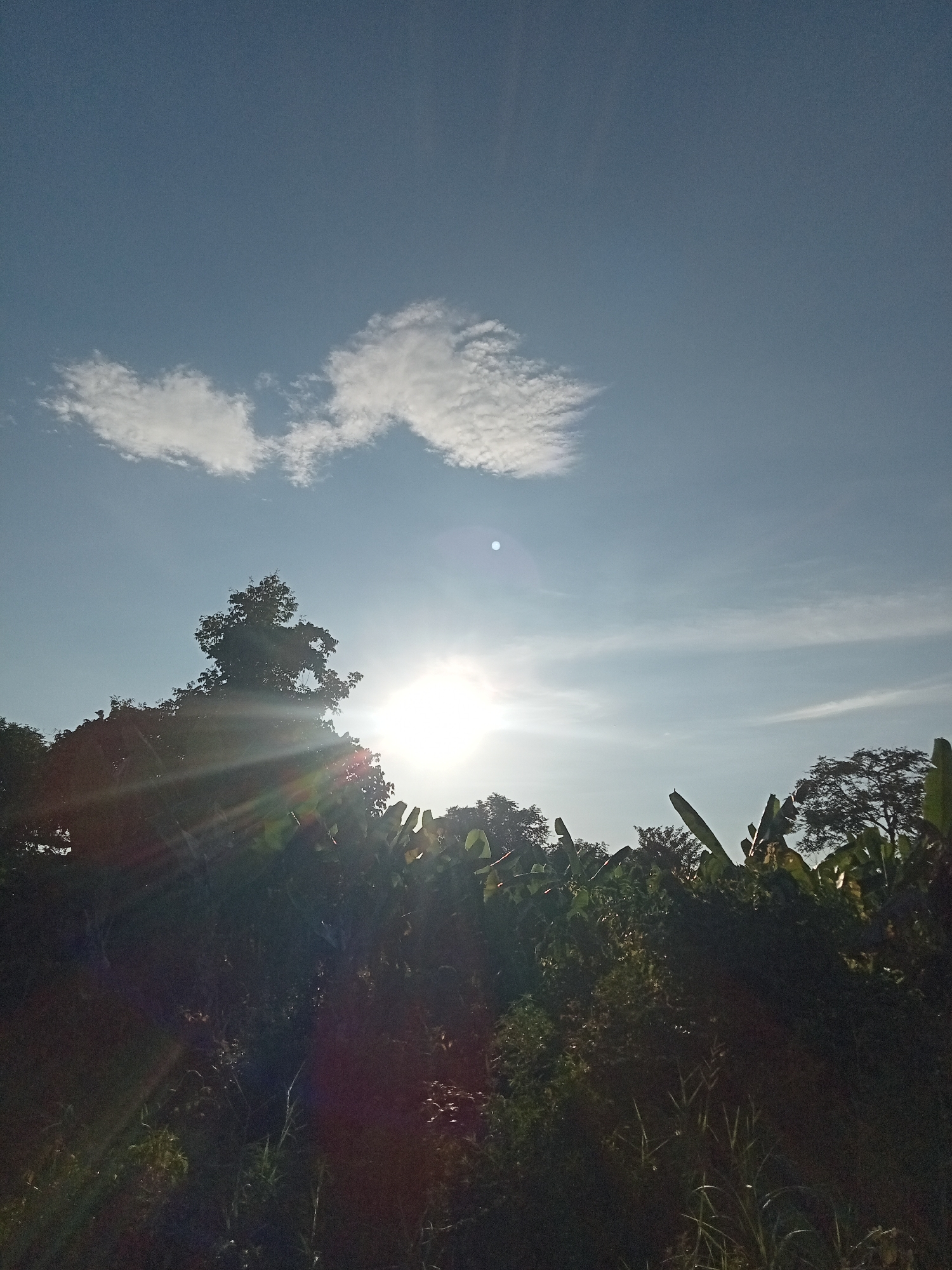 This is a photograph of a bright sun setting behind a dense, dark green canopy of trees and foliage. The sun is positioned slightly left of the center of the image, casting strong rays that create lens flare and silhouette the vegetation. The sky is a clear blue, with a few wispy white clouds visible in the upper left quadrant. The foreground is dominated by the dark, shadowy forms of plants and trees, with some lighter green leaves peeking through. The overall impression is of a natural outdoor scene at dusk or dawn, potentially in a rural or semi-rural area, consistent with the landscape of Teluk Kenidai, Indonesia.