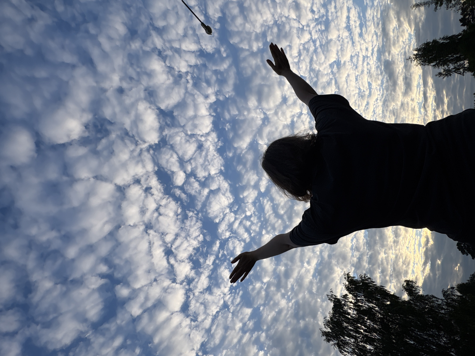 The media file depicts a person silhouetted against a dramatic sky filled with scattered, puffy white clouds against a blue backdrop. The image is oriented vertically, with the sky occupying the majority of the frame. The person's back is to the viewer, and they are reaching one arm upwards and outwards, as if trying to touch or interact with the clouds. Their other arm is also extended, with fingers splayed. The silhouette of the person suggests dark clothing.
In the upper left quadrant of the image, a dark, thin object extends from near the top edge, appearing to be a rod or stick. The setting appears to be outdoors, with the dark silhouettes of trees visible along the bottom and right edges of the frame, suggesting a natural environment.
The lighting and cloud formations indicate it is likely either sunrise or sunset, with the clouds catching the light and creating a sense of depth and texture. The overall mood conveyed is one of aspiration, wonder, or a connection with nature. There is no visible text in the image.