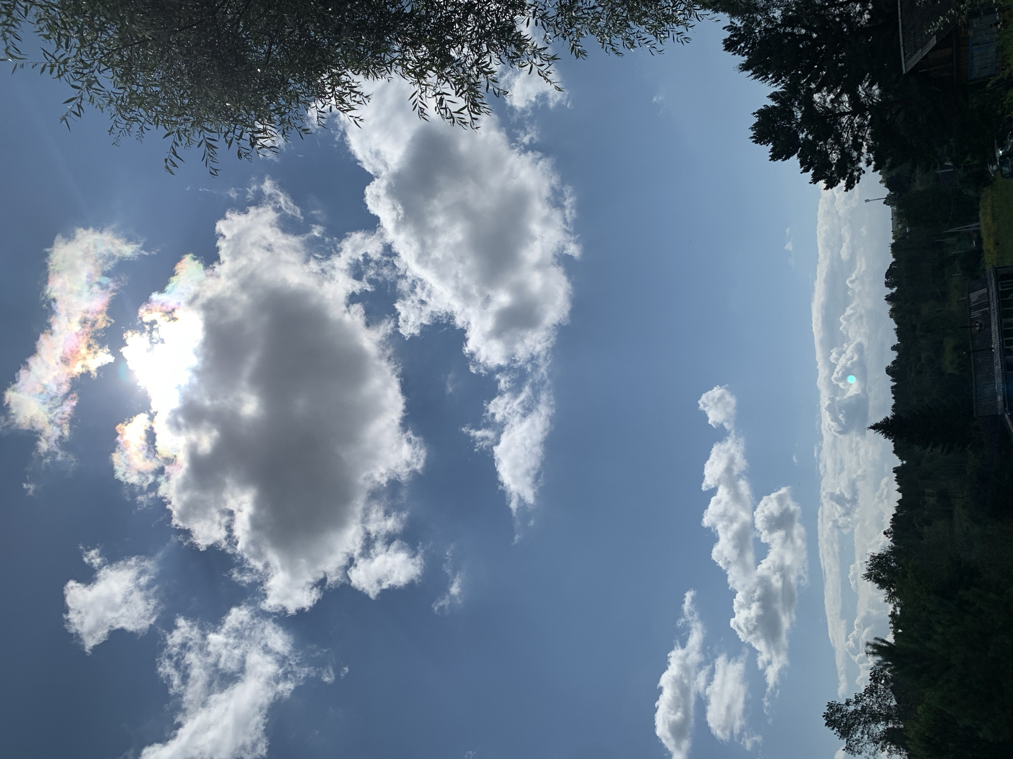 The image depicts a daytime outdoor scene with a clear blue sky filled with various cloud formations. Some clouds are white and fluffy, while others appear darker and more dense. Notably, there is a cloud exhibiting iridescent colors, suggesting the presence of a cloud iridescence phenomenon. Sunlight streams through the clouds, creating a bright area in the upper portion of the sky. On the right side of the frame, the branches and leaves of a tree are visible, partially obscuring the sky. The lower part of the image reveals a landscape with a dense line of dark green trees and foliage. In the distance, several rustic structures with dark roofs are scattered among the trees, suggesting a rural or semi-rural environment. The overall impression is of a natural landscape under a dynamic sky, likely in a setting outside of a major urban center. The location specified, Novostroika, Russia, indicates a likely rural or semi-rural area within Russia.