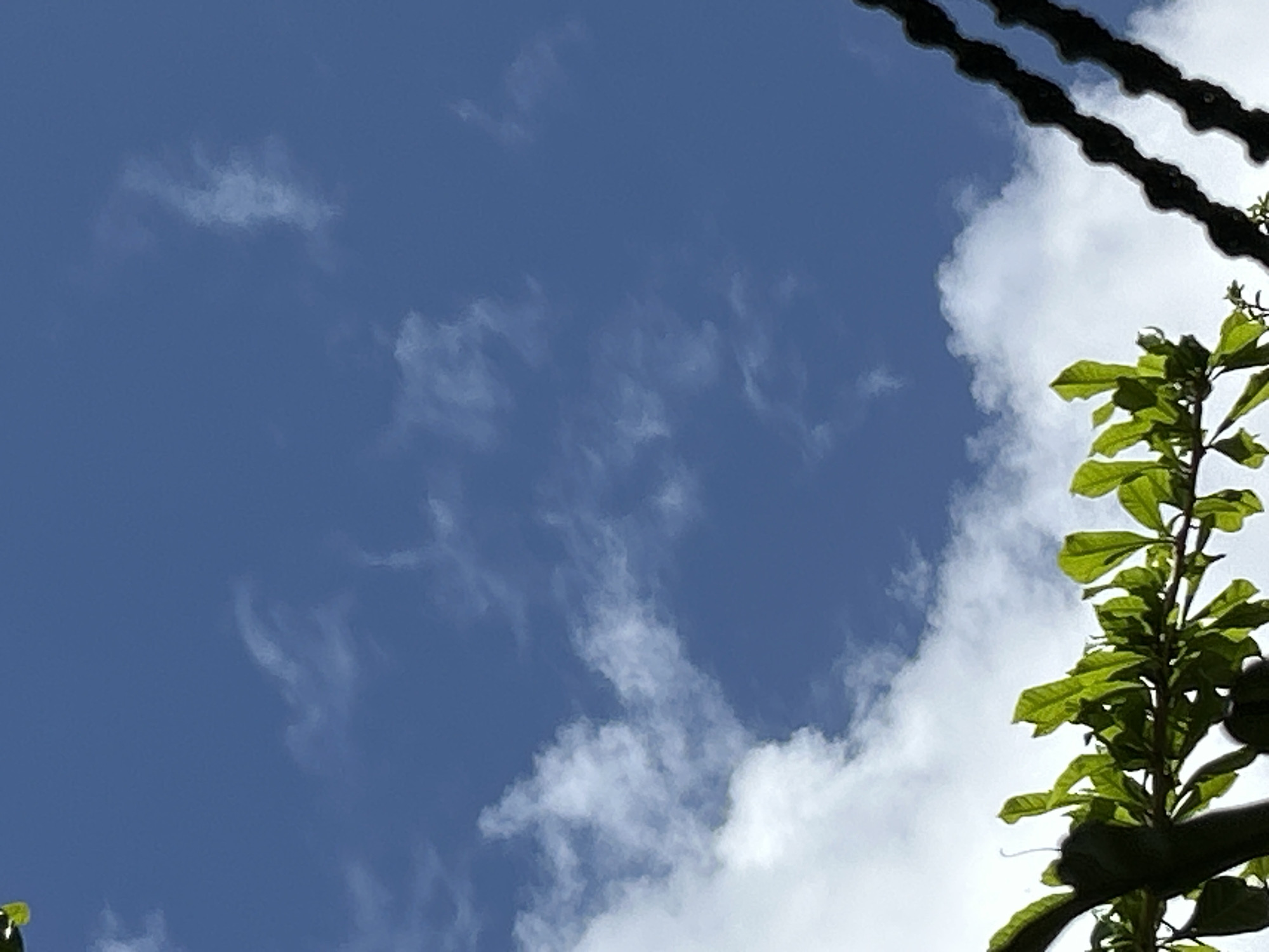The image depicts a bright blue sky with scattered white clouds, as seen from a low-angle perspective. In the foreground, the lower left portion of the frame is occupied by lush green leaves and branches of a tree. The upper right portion of the image shows a segment of a dark, chain-like object, possibly a bicycle chain or industrial chain. The scene is likely outdoors, and the sunlight suggests it is daytime. There are no people or animals visible in the image. The overall impression is one of nature and man-made elements coexisting. The image could have been captured in Santa Ana, Venezuela, a location known for its natural beauty and agricultural presence.