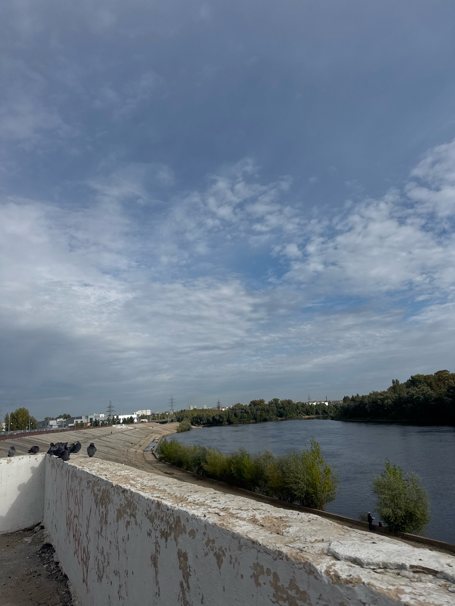 This image shows a view of the Belaya River in Ufa, Russia, from a concrete embankment. In the foreground, a weathered white concrete barrier, tagged with red graffiti, runs along the left side of the frame. A flock of pigeons is gathered on top of this barrier.
The embankment curves away from the viewer, following the river. On the opposite bank of the river, a dense line of trees forms a dark green border against the water. Beyond the trees, buildings and industrial structures are visible, along with power lines and transmission towers, suggesting an urban or semi-urban environment. The sky is overcast with scattered clouds. The water of the Belaya River is dark and appears calm.