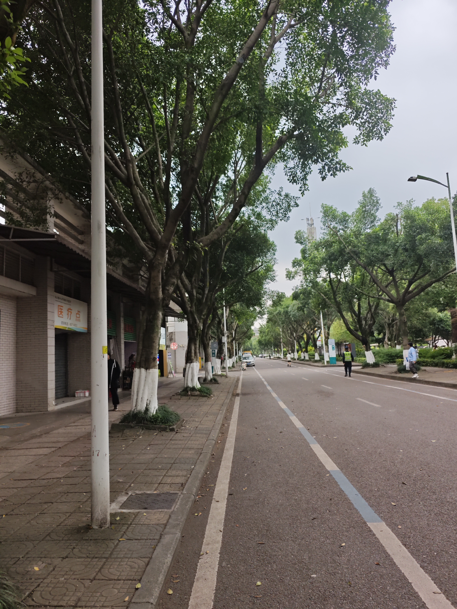 The image shows a street scene in the Chongqing High-tech Zone, China. A row of trees lines the sidewalk on the left, their trunks painted white at the base. A building with storefronts stands to the left, one displaying Chinese characters. A pedestrian is walking along the sidewalk. The road is mostly empty, with a few distant figures and a single car visible. A light pole is visible on the left. The sky is overcast.