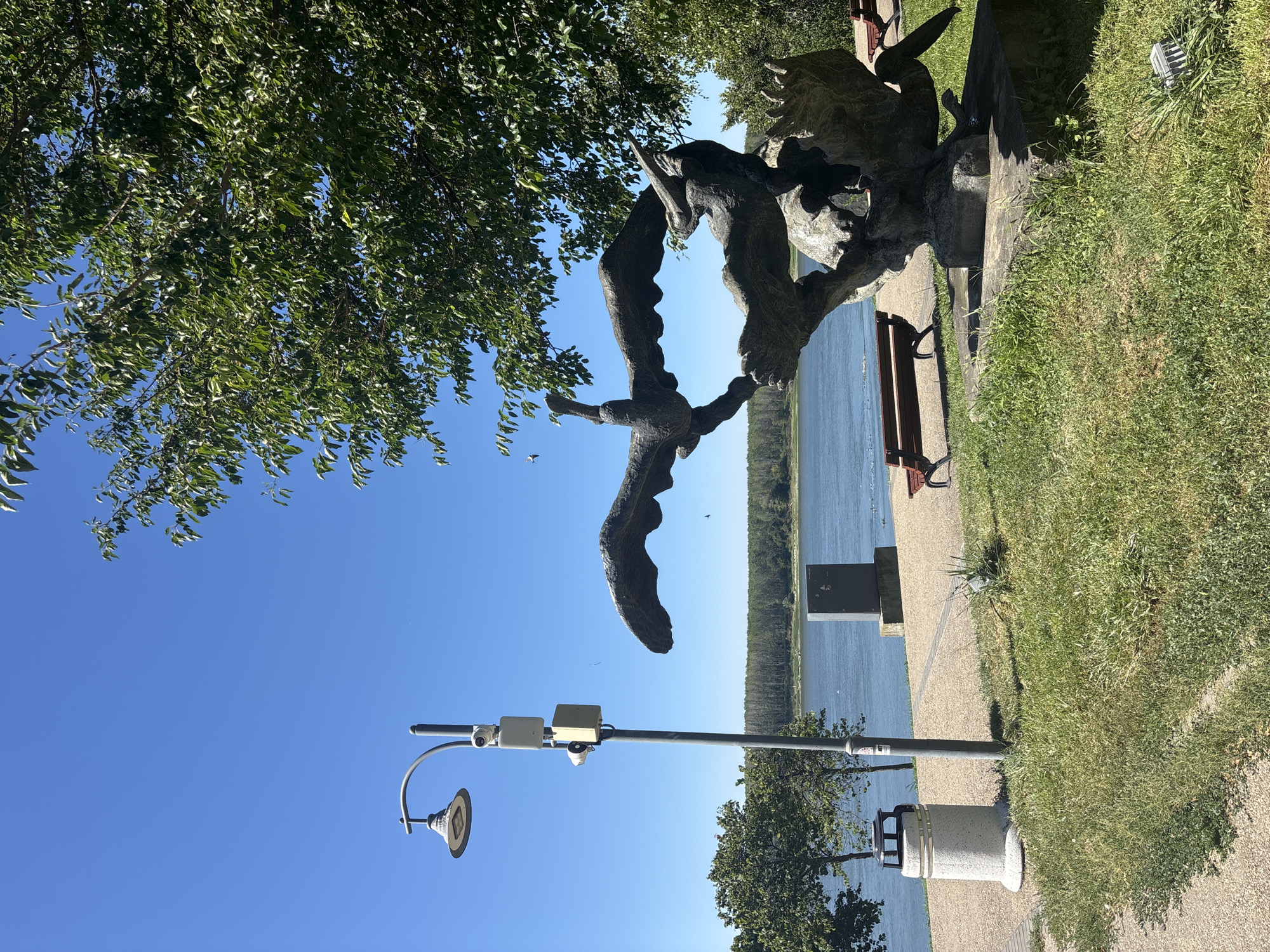 The photograph shows a bronze sculpture of birds in flight, located on the waterfront promenade in Silistra, Bulgaria. The sculpture is positioned on a grassy area, with a paved walkway and a river in the background. A lamppost with two cameras is visible to the left of the sculpture, along with a trash can. A wooden bench is placed on the paved walkway, and another bench is partially visible on the right side of the image. The river is calm, and the sky is clear and blue. Trees with green foliage are present in the foreground and on the right side of the image. The overall scene depicts a peaceful outdoor public space.