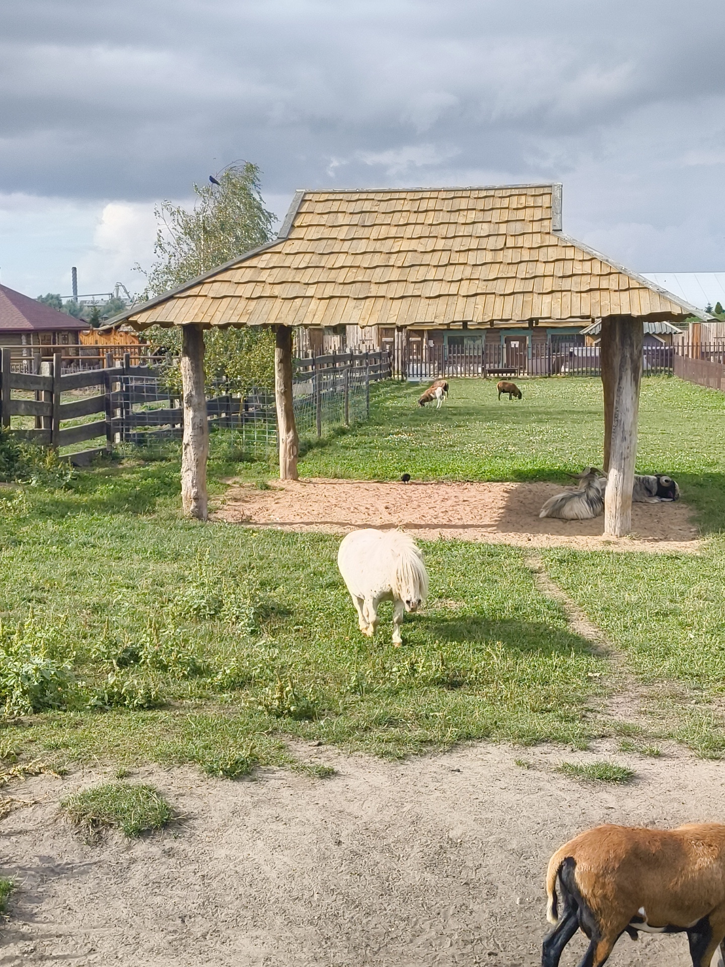 The image depicts an outdoor scene at an agricultural facility in the Malakhawetski Sel'ski Savet, Belarus. In the foreground, a white sheep or pony stands facing away from the camera in a grassy area. Behind it, a wooden structure with a shingled roof supported by log posts provides shade over a sandy patch where several animals, including goats or sheep, are resting or lying down. The middle ground features a fenced enclosure with more livestock grazing in a grassy field. Several rustic wooden buildings and fences are visible in the background, suggesting a rural or farm setting. The sky is overcast with dramatic clouds. A brown sheep is partially visible in the lower right corner, walking away from the camera.