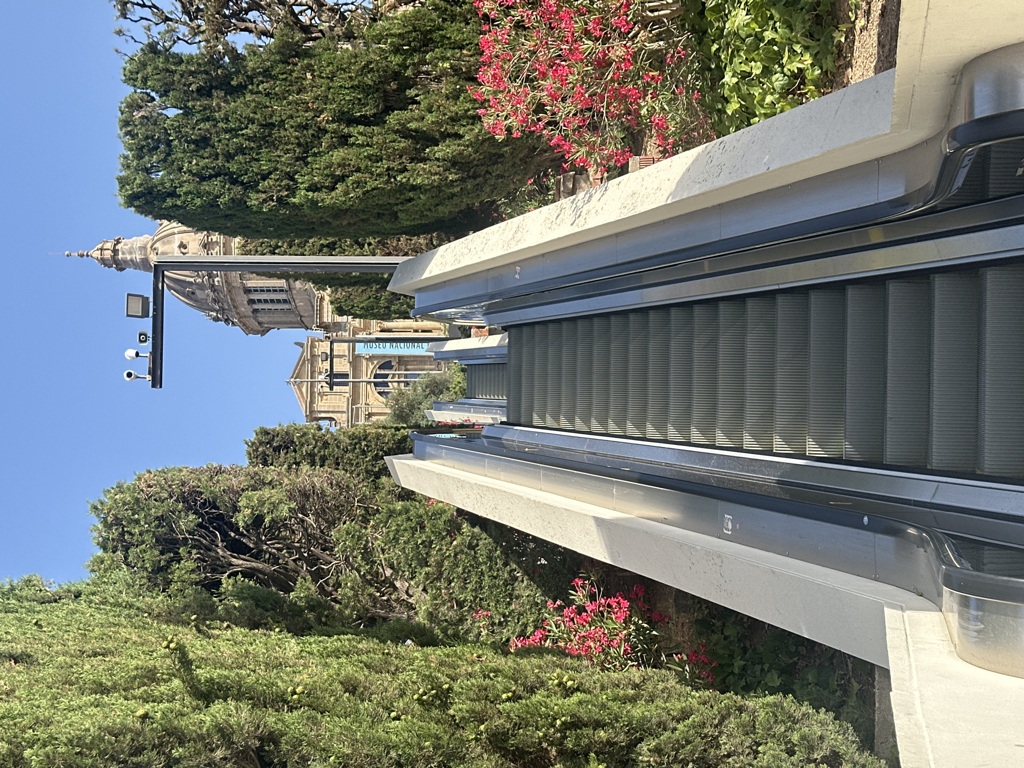 The image depicts an outdoor escalator ascending towards the Palau Nacional, a grand building in Barcelona, Spain, situated on Montjuïc hill. The escalator is flanked by tall, manicured cypress trees and vibrant pink oleander bushes in bloom, creating a lush, green setting. At the top of the escalator, the Palau Nacional's prominent dome and classical architecture are visible, bathed in sunlight against a clear blue sky. Security cameras are mounted on a pole above the escalator. No people are visible in the frame.