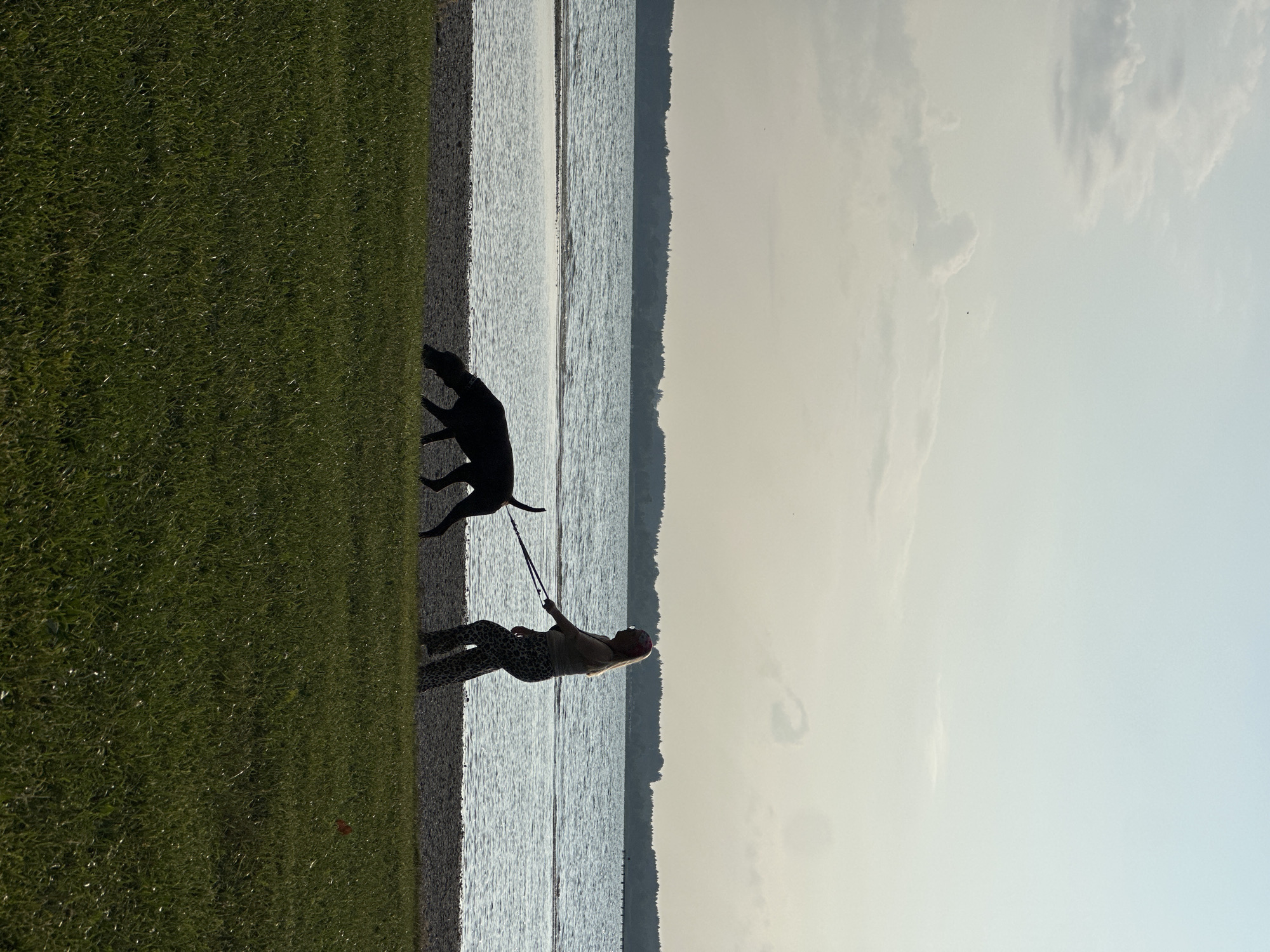 A silhouette of a person walks a dog on a leash along a rocky shore. The person wears patterned pants and a light-colored top, and the dog is dark in color. They are walking next to a body of water, likely a lake, with a tree-lined shore in the distance. The sky above is a pale blue with scattered clouds. The foreground consists of a grassy area. The image appears to be taken in Chieming, Germany, given the context.
