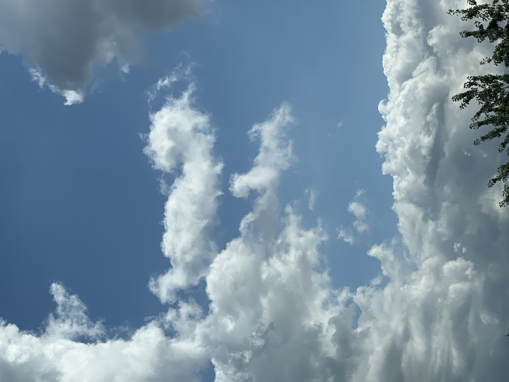 The image shows a blue sky with white and gray clouds. The bottom of the frame includes the tops of green trees. The image does not contain any information that would allow for a specific location in Warsaw, Poland to be identified.