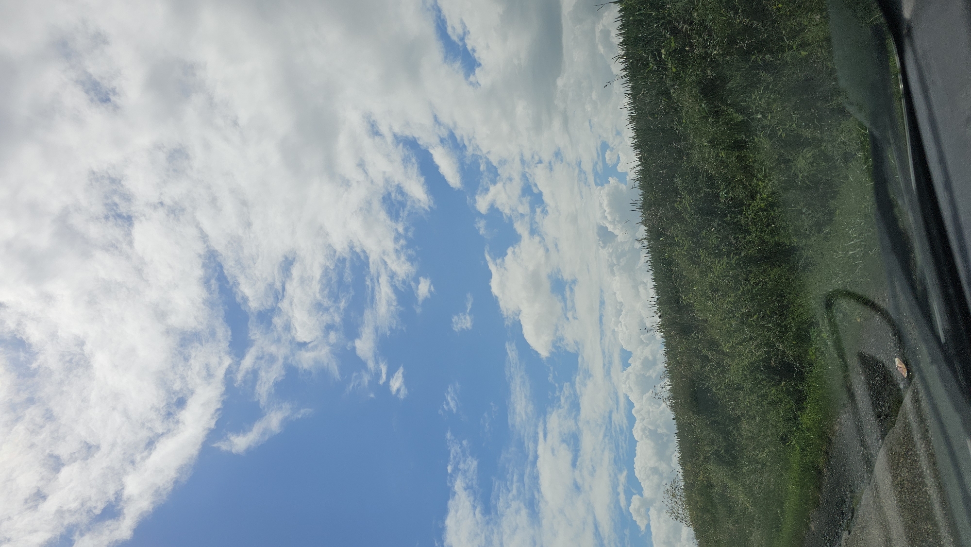 The image captures a rural landscape seen from a vehicle, likely in Boussu-lez-Walcourt, Belgium. The scene is dominated by a bright blue sky filled with white clouds, above a dense green field of crops.
The sky occupies approximately two-thirds of the frame, displaying a vibrant blue color punctuated by a variety of white cloud formations. These clouds range from thin, wispy streaks, possibly cirrus, to more voluminous, fluffy cumulus clouds that appear well-lit by direct sunlight.
Below the horizon line, the remaining third of the image is filled with a lush, tall green field, indicative of agricultural crops like corn. The plants appear dense and healthy, forming a rich green expanse along what seems to be the edge of a road or pathway.
The perspective suggests the photo was taken from inside a moving vehicle. A dark, vertical structure on the far right edge of the frame is consistent with a car's window frame or pillar. In the lower right corner, a reflective surface, possibly part of the vehicle's interior or another window, shows a partial circular reflection, further supporting the in-vehicle viewpoint.
The scene is set during daytime, with clear visibility and strong natural light. The weather appears fair and partly cloudy. The tranquil, agricultural setting aligns with the provided location context. No visible text is present in the image.