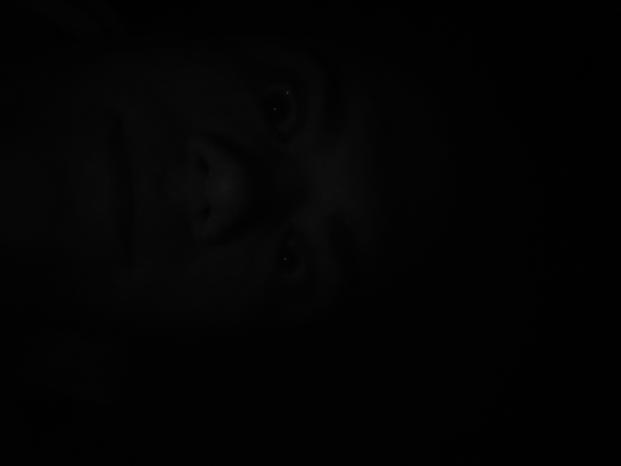 The image shows a close-up of a face, primarily the nose and eyes, which are only partially visible due to the extreme darkness of the image. It is not possible to determine the person's identity, age, or gender. The background is entirely black. There is no information available in the image to indicate that it was taken in Tashkent, Uzbekistan, or any specific location.