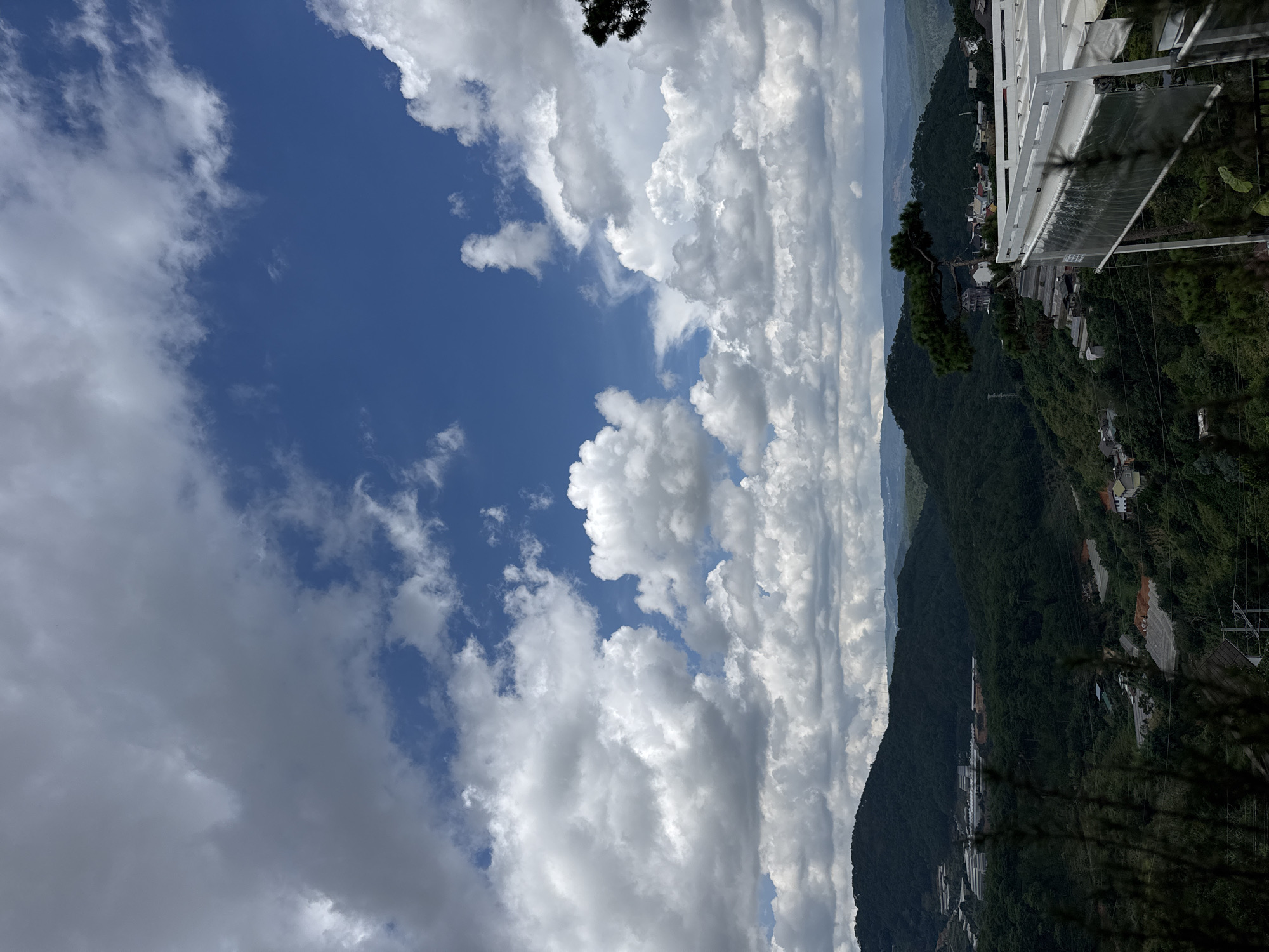 The image depicts a scenic view of the hilly landscape surrounding Da Lat, Vietnam. The foreground features a white structure, possibly a canopy or balcony, with transparent sheeting. A dark green pine tree with a distinctive curved branch extends from the right side of the frame, partially obscuring the view.
The middle ground is dominated by rolling, densely forested hills. Scattered throughout the hills are buildings, some appearing to be houses with white roofs and walls, and others that seem to be greenhouses with translucent roofing. A power line pole is visible on one of the slopes.
The background consists of layers of hills receding into the distance, with some appearing lighter in color, suggesting they are further away or covered in different vegetation.
The sky is a vibrant blue, punctuated by numerous fluffy white and grey clouds, indicative of a partly cloudy day. The overall impression is one of a peaceful, natural setting with some human development integrated into the landscape. The vantage point suggests the photo was taken from an elevated position, offering a panoramic vista.