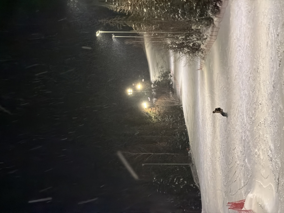 This image depicts a nighttime scene at a snow-covered ski slope in Makarovo, Russia, during active snowfall. A single individual, dressed in dark clothing and wearing a backpack, is visible snowboarding down the groomed slope, appearing to be in the process of turning left. The slope is illuminated by a series of at least five tall, bright floodlights positioned along the right side, casting a yellowish-white light on the snow. Snow-covered evergreen and bare deciduous trees line both sides of the slope, bordering the forested area. Orange safety netting is present along the lower right edge of the slope. Numerous snowflakes are visible in the air, captured by the artificial illumination. The overall environment is a wintery, mountainous or hilly landscape, operating as a lit ski facility at night.