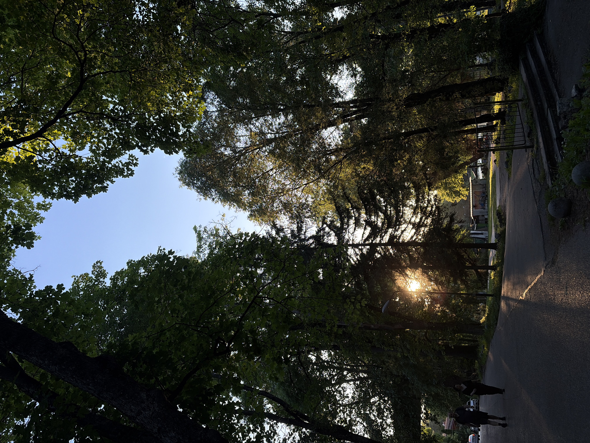 The image shows a street lined with trees in a city environment. The trees form a canopy overhead, creating a partial tunnel effect. Sunlight streams through the trees in the distance, creating a bright spot. The pavement is visible to the right, and two people are walking along the road in the lower right corner. A fence is visible near steps on the right. The sky is visible through gaps in the foliage. The location is Unknown, Unknown.