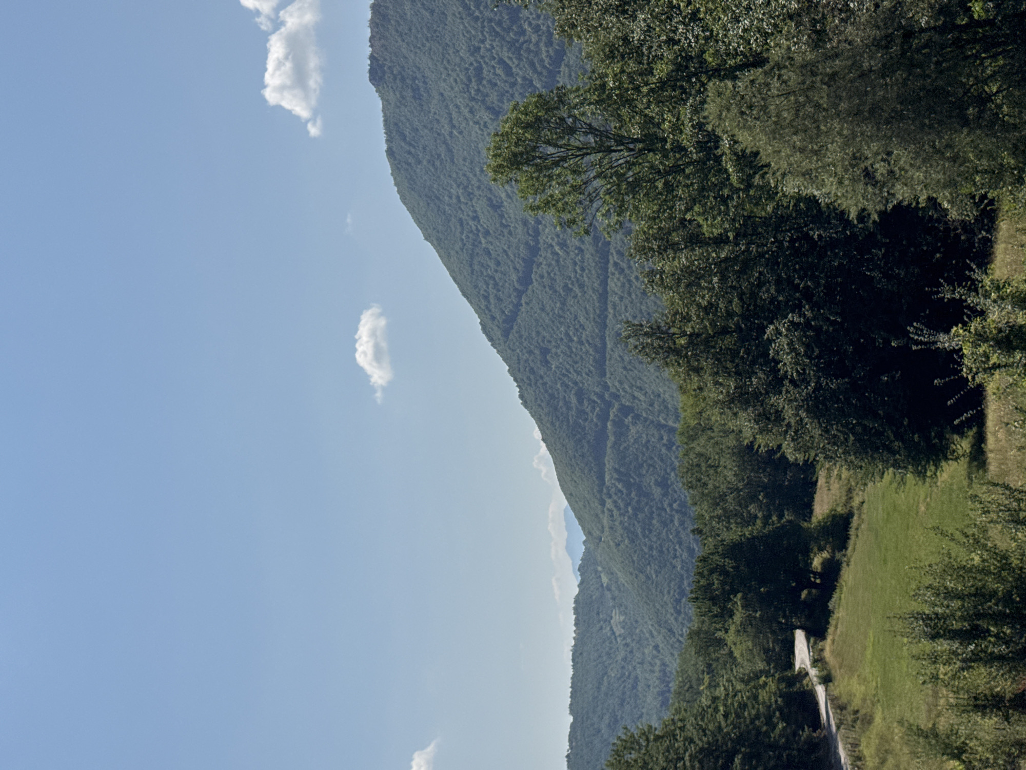 The image shows a panoramic view of a mountainous landscape in Goransko, Montenegro. The sky is a clear, light blue with a few scattered white clouds. In the foreground, a lush green meadow is visible, bordered by dense forest. A winding asphalt road cuts through the meadow and disappears into the trees on the left side of the frame.

Dominating the mid-ground and background are rolling hills covered in dense, verdant forests. The hills rise in layers, with the furthest peaks appearing as hazy blue silhouettes against the sky. A large, prominent mountain with a textured, tree-covered slope is situated in the right half of the image. The sunlight casts subtle shadows, highlighting the contours of the landscape. The overall scene depicts a serene and natural environment, characteristic of a rural mountainous region. No people or specific man-made structures, other than the road, are visible in the frame.