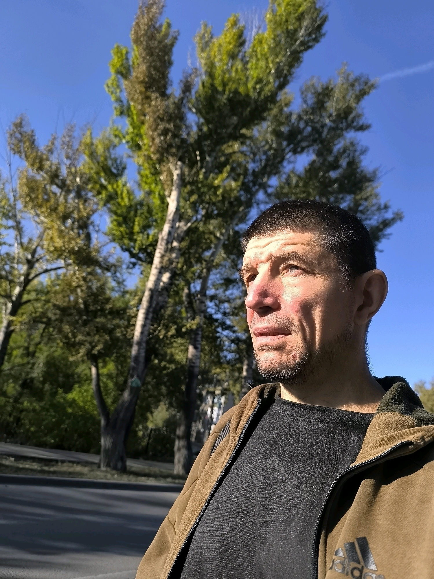 An outdoor, medium shot captures a man in profile, looking to the right, with a bright blue sky and trees in the background. The man has short, dark hair, a shaved head, and stubble on his face. He is wearing a dark t-shirt under a brown zip-up hoodie, which has the Adidas logo on the left chest. The man's face is illuminated by sunlight, highlighting the contours of his skin and casting shadows. The trees behind him are tall and leafy, with some appearing to be deciduous, showing hints of autumn colors. The ground in the foreground appears to be asphalt, suggesting an urban or suburban setting. The overall scene conveys a sense of candid observation on a clear, sunny day.