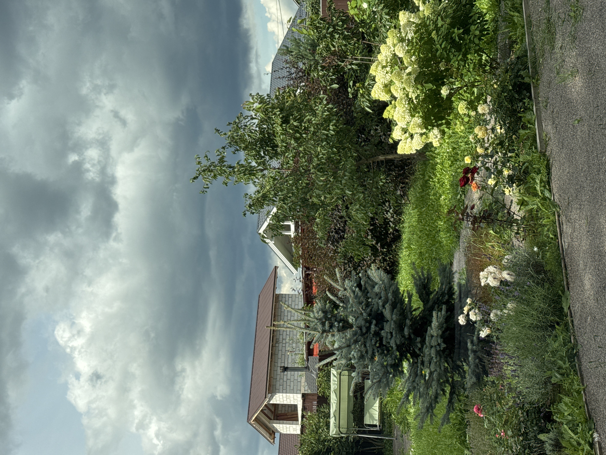 The image depicts a residential backyard in Steklyannyi, Russia, under a dramatic, overcast sky filled with dark, heavy clouds. In the foreground, a small, blue spruce tree stands to the left, with a garden bed in front of it containing pink and white roses, and lavender. To the right of the spruce, a large bush with clusters of pale yellow flowers, possibly hydrangeas, is prominent. Beyond the immediate garden, a green metal swing set is visible.
Further back in the scene, there is a variety of dense green and dark red foliage, forming a natural barrier. Peeking through the greenery are the roofs and upper sections of houses. One house on the left appears to be under construction, with exposed white brick walls and a brown metal roof. Another house to the right has a dark gray roof. A brown wooden fence runs along the property line in the background. The ground in the very front is a textured asphalt or gravel path. No people are present in the image.