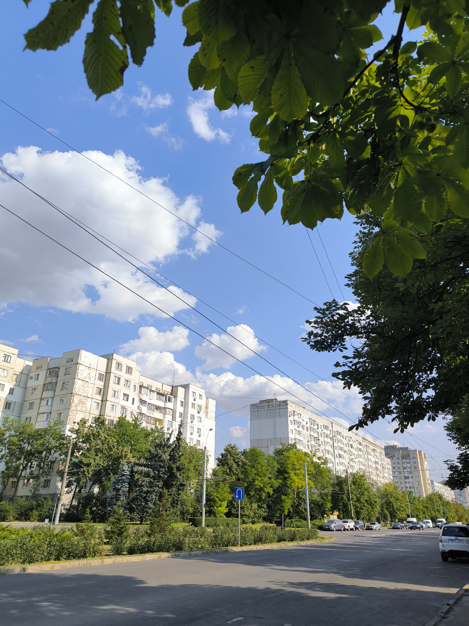 The image depicts a street scene in Chișinău, Moldova, likely on a sunny day. The foreground features an asphalt road with a slight curve to the right, casting shadows from overhead trees. Along the left side of the road is a well-maintained green hedge and a sidewalk, followed by a row of trees, including several evergreen fir trees and deciduous trees. Beyond the trees, a series of tall, multi-story apartment buildings, characteristic of Soviet-era architecture, are visible. These buildings are light-colored, with numerous windows and balconies. Some of the buildings show signs of wear and tear.
In the middle ground, a street with parked cars and moving vehicles extends into the distance. The traffic appears light. A blue traffic sign with a white U-turn arrow is visible on the left side of the road. Overhead, power lines crisscross the sky, a common sight in urban areas. The sky is blue with scattered white cumulus clouds.
The upper portion of the image is dominated by the green canopy of large leafy trees, likely chestnut trees, which partially obscure the sky and power lines. The leaves are vibrant green, suggesting it is either spring or summer. The overall impression is of a typical urban environment in Chișinău, with a mix of residential buildings, green spaces, and infrastructure.