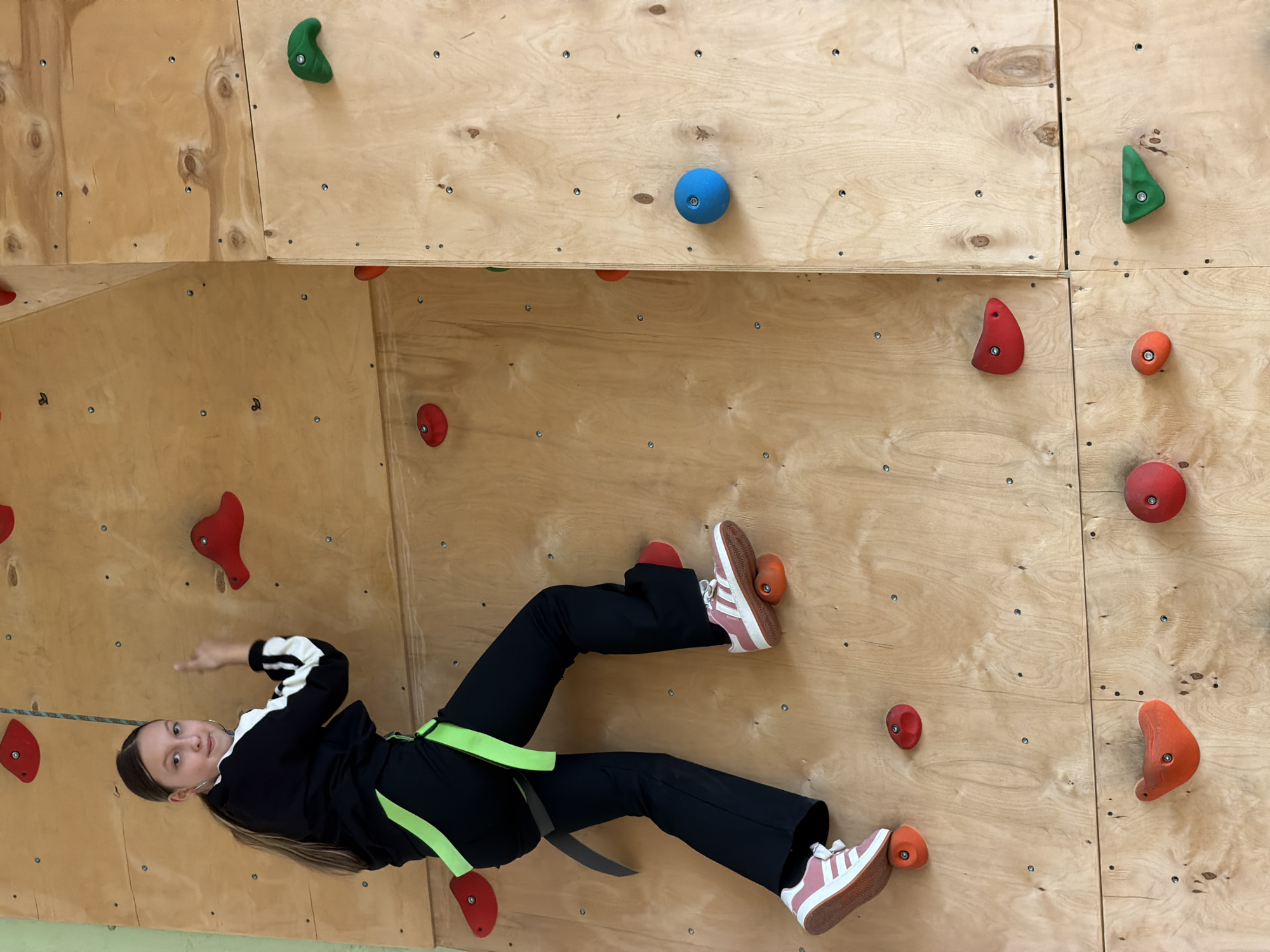 A young female, likely a girl or teenager, is captured in a dynamic pose on an indoor climbing wall. She has long brown hair and is dressed in a black long-sleeved top with white accents, black pants, a neon green safety harness, and pink and white sneakers. Her body is positioned horizontally across the wall, with her legs bent, feet supported by an orange and a red climbing hold. One hand is slightly extended, while the other is closer to her chest. She maintains eye contact with the camera, displaying a neutral to slightly smiling expression.
The climbing wall is constructed from light-colored wooden panels, securely fastened together, providing the base for numerous brightly colored climbing holds. These holds vary in shape and color, including red, orange, green, and a single blue spherical hold visible in the upper part of the image. The wall features different planes and angles, indicating a varied and challenging climbing surface. The scene takes place indoors, likely within a climbing gym or facility located in Izhevsk, Russia. There is no visible text in the image.