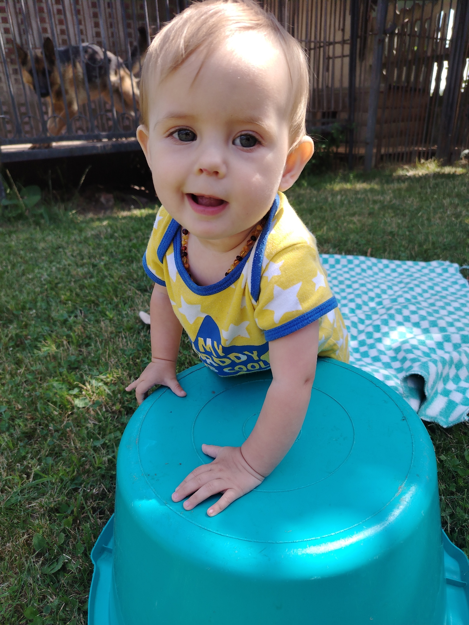 The image captures a close-up of a baby with light brown hair and fair skin, looking directly at the camera with a slight smile. The baby is wearing a yellow t-shirt with white stars and blue trim, and a necklace of amber beads. The baby is leaning over a large, turquoise plastic tub, with both hands resting on its rim. In the background, a black and tan dog is visible behind a metal fence. The scene is set outdoors on a sunny day, with green grass covering the ground. A checkered blue and white blanket is partially visible to the right of the baby. There are no elements in the image that suggest a location in Molodiia, Ukraine.