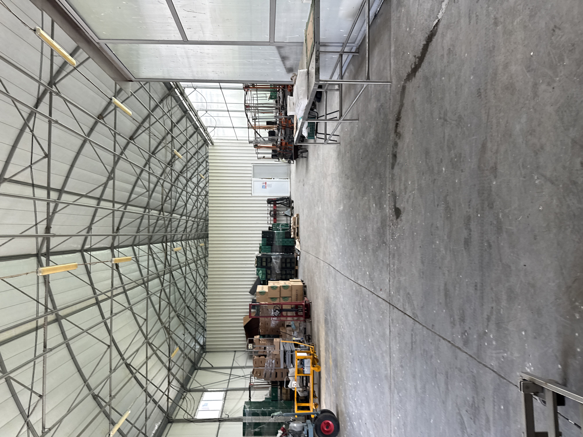 The image captures the interior of a large, industrial or agricultural building, likely a greenhouse or warehouse, situated in Stara Zagora, Bulgaria. The structure features a prominent metal framework supporting a translucent or white-paneled ceiling and upper walls, through which ambient light filters. Multiple fluorescent tube lights are suspended from the ceiling trusses, providing additional illumination.
The floor is made of concrete, displaying noticeable wear, dirt, tire tracks, and a few cracks, indicative of regular heavy use. A thin black cable runs across the floor from the foreground towards the back.
Along the right side of the frame, there is a long metal table or workbench, with some sacks and green plastic crates placed upon it. Further into the background, a white door with a small, unreadable sign (featuring red and black elements) is set into a corrugated metal wall.
The left side of the building is used for storage or staging. Here, stacks of green and black plastic crates are visible, alongside numerous cardboard boxes, some wrapped in plastic and resting on pallets or various wheeled carts. Several yellow-orange utility carts or trolleys, some with red wheels, are also present, suggesting the movement or preparation of goods, possibly agricultural products.
No individuals are visible in the scene. The overall environment appears functional and utilitarian, with the lighting indicating it is daytime.
