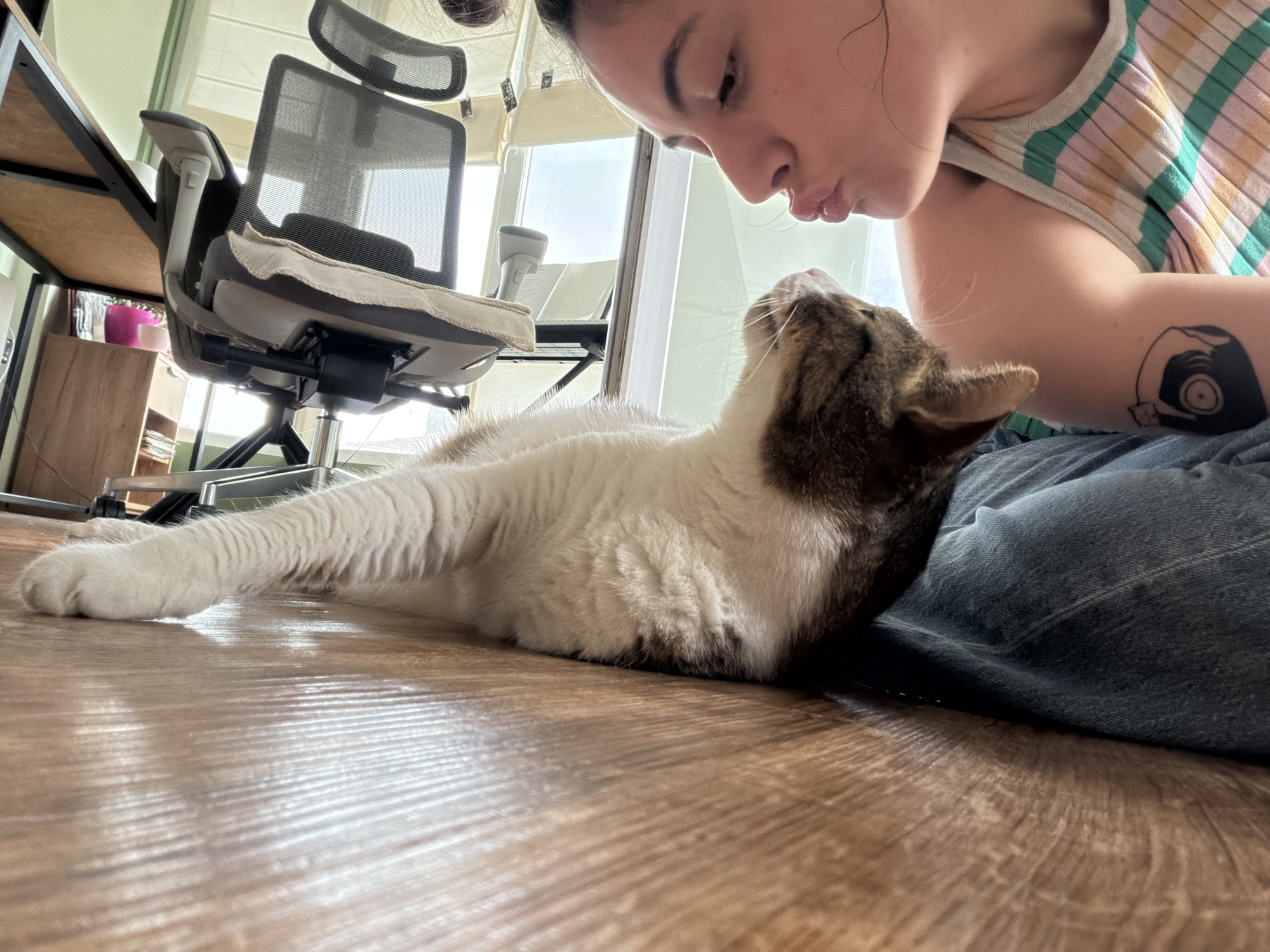 An indoor scene depicts a low-angle view of a person interacting with a domestic cat on a wooden floor. The person, appearing to be a young adult female, is partially visible from the head to the upper torso and legs. She has dark hair pulled back and is wearing a horizontally striped tank top with green, pink, orange, and white bands. A black tattoo depicting a hand holding a vinyl record is visible on her upper right arm. Her lips are puckered forward, directed towards the cat. She is positioned close to the floor, with her legs, covered in blue denim fabric, visible on the right.
A domestic cat with white underparts and brown/grey tabby markings on its back and head is lying on its side on the wooden floor, stretching its front paws forward. Its head is tilted upwards, facing the person's face.
In the background, a modern office chair with a black mesh back and a light-colored seat cushion is visible. A dark-framed desk is partially seen on the left. Windows with white blinds or curtains illuminate the background, creating reflections on the polished wooden floor. Other items visible in the background include a small white speaker or appliance, a pink container, and a wooden drawer unit. The location is an interior space in Unknown, Unknown.
