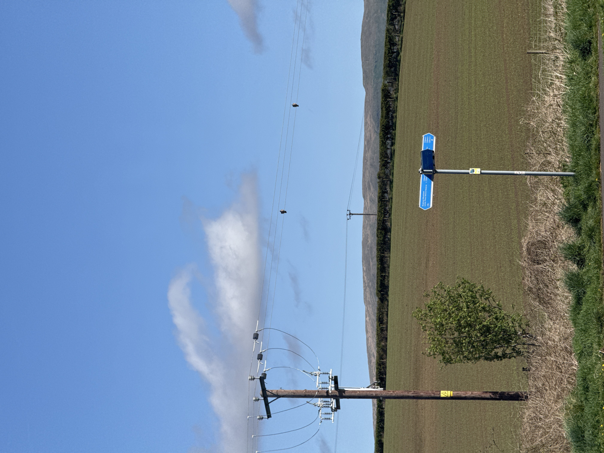 The image shows a rural landscape with a field, a roadside with dry grass and green vegetation, and a blue sky with clouds. In the distance, there's a mountain range. A wooden utility pole with electrical wires runs across the scene. A blue street sign is visible near the road. There is also a tree growing along the edge of the field near the utility pole. The location is Unknown, Unknown.