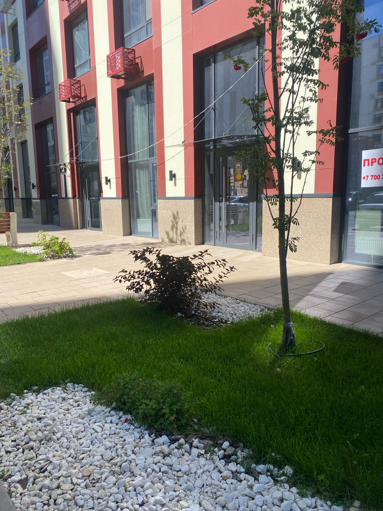 The image shows a modern, multi-story building with red and cream-colored vertical stripes. There are large windows and balconies. In front of the building, there is a paved walkway with landscaping. This landscaping includes a patch of green grass, a small tree with some red berries, and a bed of white gravel with some small plants. In the foreground, there is a further expanse of green grass bordering the gravel. The building appears to be in a city environment, with a sign on the right side of the image that reads "ПРО" which likely indicates a commercial establishment. Based on the architectural style and the sign, this scene is likely in Astana, Kazakhstan. There are no people visible in the image.