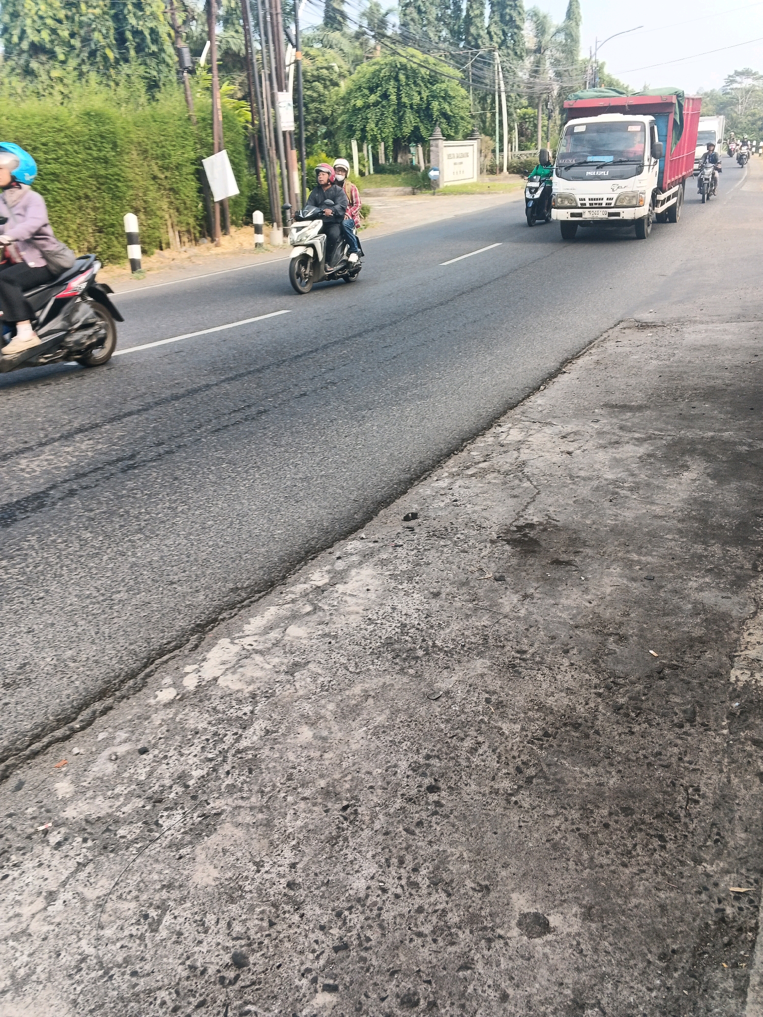 The image depicts a street scene in Ungaran, Indonesia, on a bright, clear day. The road, a mix of asphalt and damaged concrete, is busy with traffic. In the foreground, the textured, uneven concrete sidewalk is visible, showing signs of wear and tear. A white line marking the edge of the road is clear.
Further down the road, a woman on a scooter with a blue helmet rides past on the left. To her right, two people on another scooter are traveling in the same direction, with the passenger wearing a red and white helmet.
A white Isuzu truck with a red cargo bed dominates the middle ground, heading towards the viewer's right. A motorcyclist in a green helmet is on its left, and other motorcycles are visible further down the road. The background features lush green trees and vegetation, with utility poles and wires present. A sign with Indonesian text is visible on the left, suggesting a residential or institutional area. The overall scene is one of everyday traffic flow in a Southeast Asian urban or semi-urban environment.