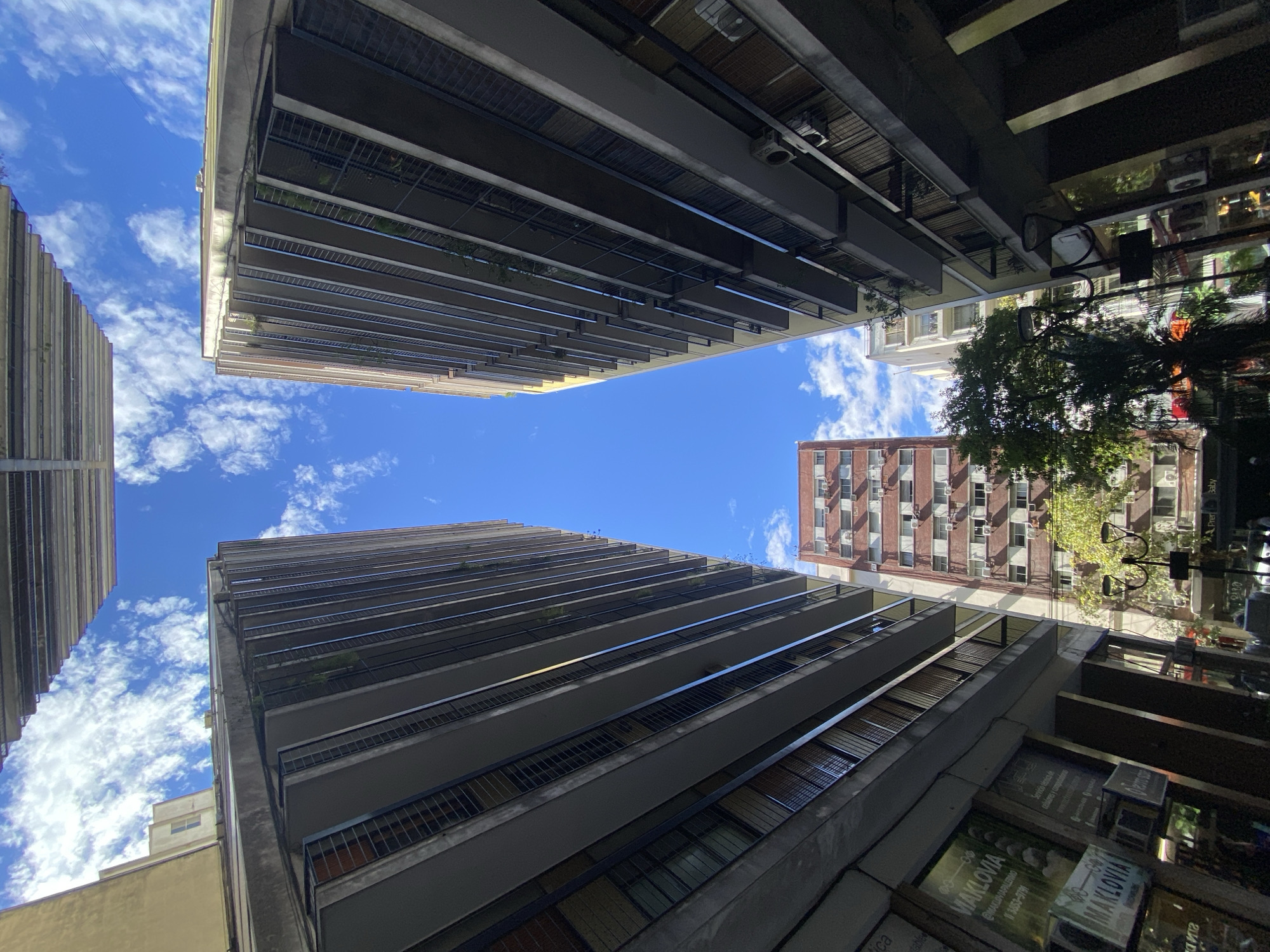 The image depicts an upward-looking view from street level in Buenos Aires, Argentina, specifically on Avenida Rivadavia in the Balvanera neighborhood. Two multi-story buildings, likely residential or mixed-use, dominate the foreground, framing a central upward-pointing wedge of clear blue sky with scattered white cumulus clouds. These two buildings, appearing to be around 10-15 stories tall, feature numerous concrete balconies with dark metal railings, visible on their inner facades. Some balconies exhibit minor plant growth.
At the immediate street level, the base of the left building houses commercial establishments, including a shop named "MAKLOVIA" with visible signage in white and green, indicating "SERVICIO TÉCNICO EN CALZADOS Y COMPUTADORAS" (shoe and computer technical service) and a phone number. Reflective shop windows obscure clear views of internal activity or specific individuals.
Further down the street, between the two prominent foreground structures, a reddish-brown brick building with multiple windows and external air conditioning units is visible. To its right, a lighter-colored building is partially discernible. A street lamp with two curved fixtures and a black pole stands centrally at the lower mid-ground. Green foliage from trees, including a palm tree, is visible near street level, partially obscuring the lower portions of the distant buildings. A high-rise building is faintly visible at the very top of the frame, spanning the gap between the upper edges of the two foreground buildings. The scene is illuminated by daylight, indicating fair weather. No explicit human actions or interactions are clearly identifiable due to the perspective and distance.