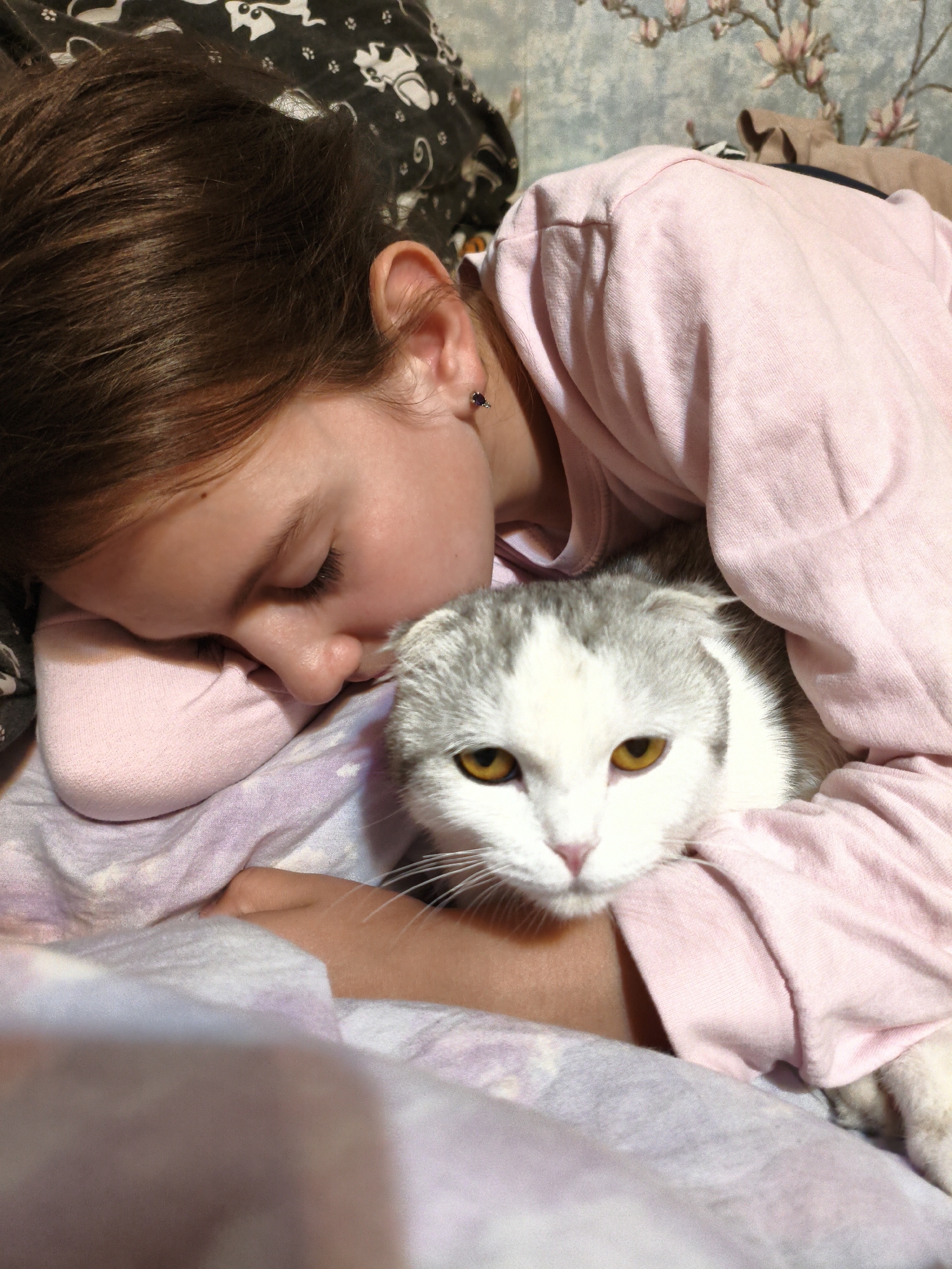 The image depicts a young girl sleeping on a bed, with a Scottish Fold cat nestled beside her. The girl has brown hair and is wearing a pink long-sleeved shirt. The cat is white and grey with striking yellow eyes. They are lying on a bed with patterned purple and white bedding. The background shows a patterned wallpaper with floral motifs and a dark fabric with a white pattern. The scene appears to be an indoor domestic environment, possibly a bedroom. There is no specific information within the image to suggest a location in Orenburg, Russia.
