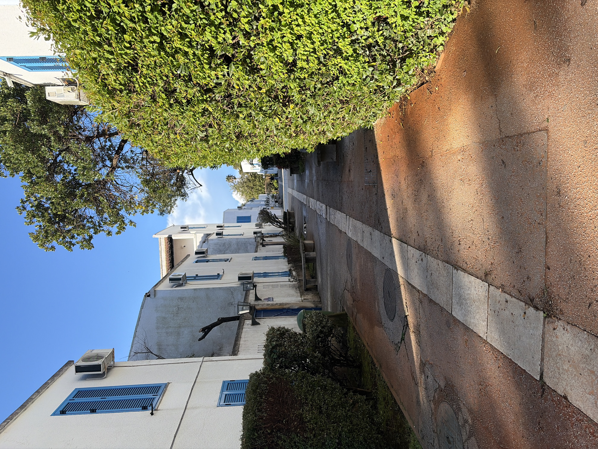 The image depicts a pedestrian pathway in the city of Budva, Montenegro, under clear daylight conditions. The path, composed of reddish-brown gravel or exposed aggregate, features a central strip of rectangular gray concrete paving slabs. Sunlight casts distinct shadows across the path, suggesting a low sun angle.
On the left side of the path, a row of two-story white stucco buildings with flat roofs is visible. Each building features multiple windows fitted with closed, vertical louvered blue shutters. Several exterior wall-mounted air conditioning units are affixed below the roofline of these buildings. Additionally, wall-mounted lamps with clear glass enclosures are present on some building facades. Green, trimmed bushes line the base of the buildings, and a green trash bin is situated near a blue door or gate. Several gray concrete benches are placed along this side of the path. Manhole covers are embedded in the reddish-brown path material. A large, partially bare tree branch extends from a building in the mid-ground.
The right side of the path is bordered by a tall, dense, and well-maintained green hedge, which runs parallel to the path into the background. Above and behind this hedge, the canopy of a large green-leafed tree is visible against the blue sky, which contains scattered white clouds.
In the far distance, at the end of the path, a solitary individual, appearing to be an adult male dressed in dark clothing, walks away from the viewer. More white buildings with blue shutters and additional foliage, including a palm tree, are visible in the background. No direct interactions between individuals or objects are observable.
