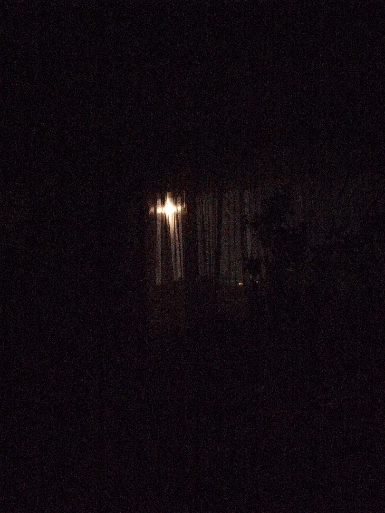 A dark image shows a window with curtains, illuminated by an interior light. In the foreground, indistinct foliage suggests vegetation outside. The location is indiscernible without further information, so I cannot confirm if it is Sofia, Bulgaria, or any specific location.