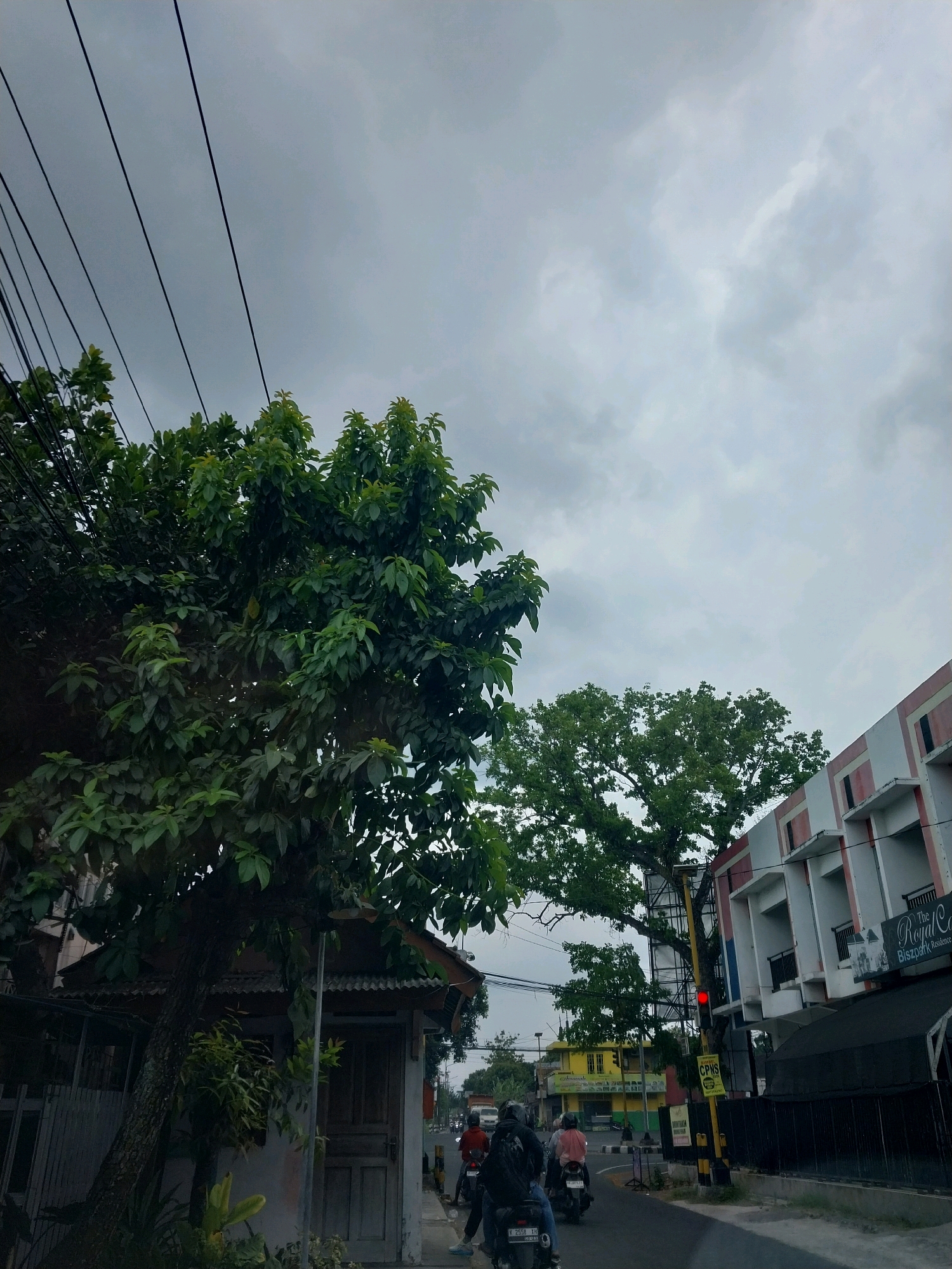 The image depicts a street scene in Tamanmartani, Indonesia, under an overcast sky. In the foreground, a lush green tree with dark leaves is prominent on the left, partially obscuring a small wooden building with a corrugated metal roof. Power lines stretch across the upper portion of the frame.
To the right, a modern building with white and pink facades features several windows and balconies. A sign for "The Royal S... Biszkopt Residence" is visible on this building. A traffic light displays a red signal, and a yellow pole with signage stands nearby.
The street itself is paved and appears to be a moderately busy thoroughfare. Several motorcycles are present, with riders navigating the road. One motorcycle in the mid-ground has two occupants, while another further back shows a single rider. A red vehicle is visible in the distance. The environment suggests an urban or semi-urban setting with a mix of older and newer structures.