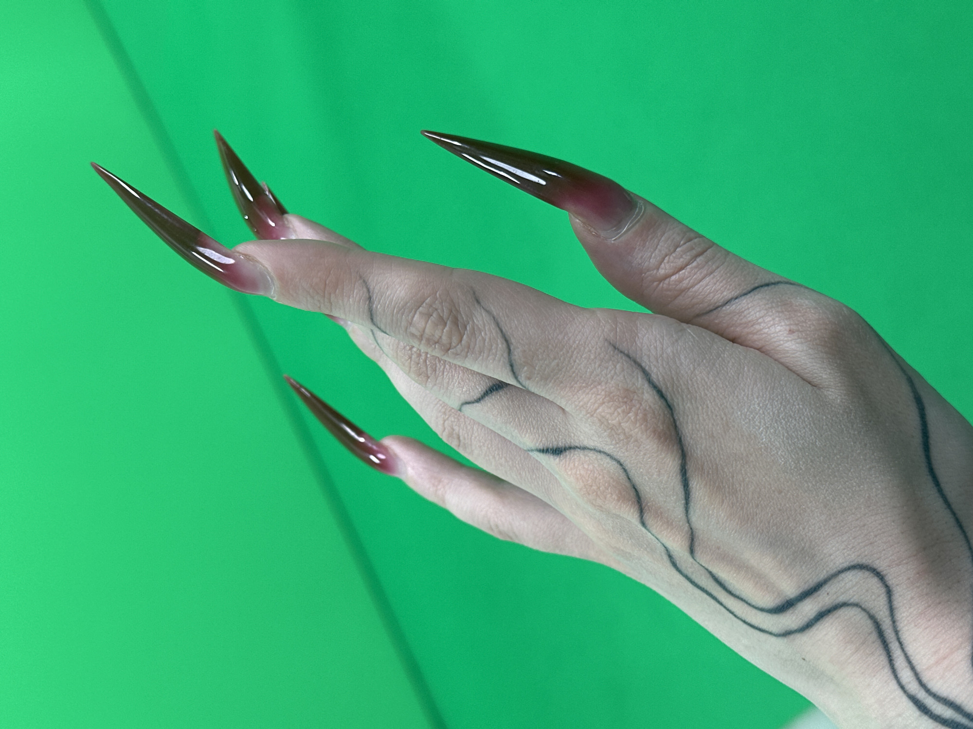 A hand with long, dark brown nails and black wavy line tattoos is positioned against a bright green backdrop. The hand is Caucasian and fair-skinned with visible veins. The background is a solid, uniform green. The image appears to be taken in a studio or with a backdrop for photographic purposes. There is no information to suggest the location of the image is Belgrade, Serbia.