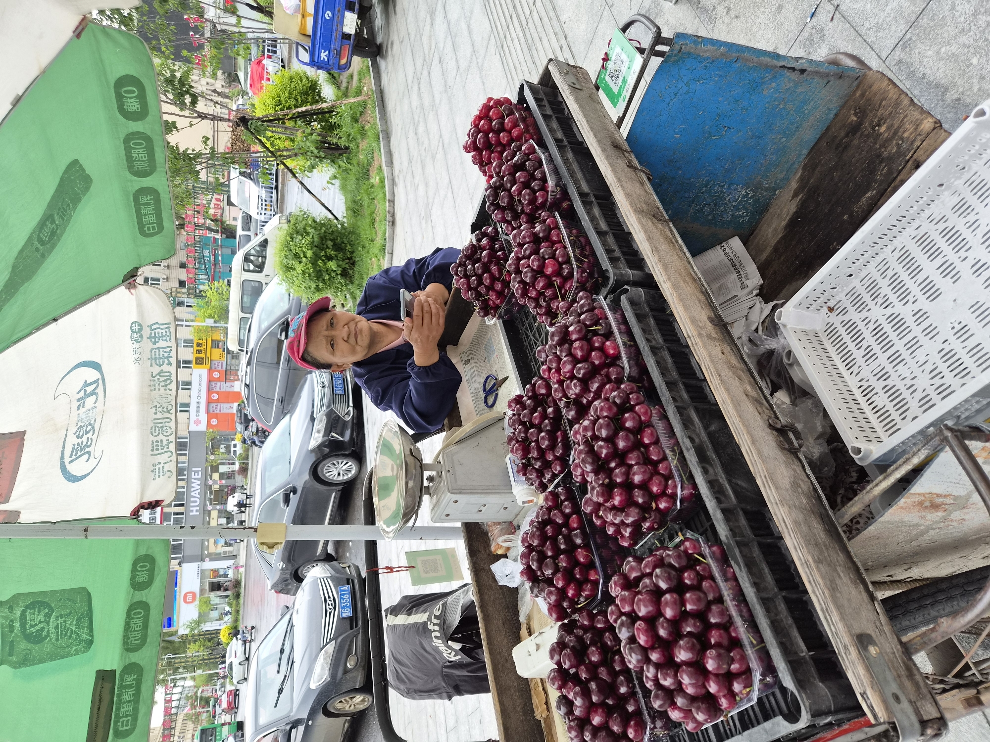 In Mishan, China, a street vendor, an elderly woman wearing a red cap and a dark blue jacket, sits behind a cart filled with fresh cherries. The cherries are displayed in plastic containers arranged on a wooden surface, with more containers stacked below. A silver scale sits to her right, alongside a pair of blue scissors. She holds a smartphone in her hands, suggesting she may be using it for transactions or communication. The cart is positioned on a paved street, with various vehicles, including cars and a blue utility vehicle, visible in the background. Buildings line the street, and overhead, large green and white umbrellas provide shade, one of which displays text in Chinese. The overall scene depicts a typical urban street market environment in China.