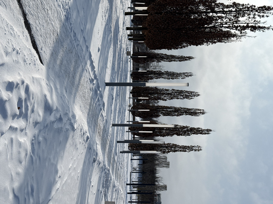 The image depicts a snow-covered urban park or landscaped area in Plodorodny, Russia. The ground is extensively covered by white snow, forming undulating drifts that partially obscure visible pathways. Numerous tall, slender deciduous trees, exhibiting dark brown winter foliage or bare branches, are systematically arranged across the scene. Interspersed among these trees and along the pathways are multiple modern, vertical light fixtures, each featuring a dark grey pole topped with a cylindrical, illuminated white section. These fixtures appear to be approximately 3-4 meters in height. In the distant background, a single dark, indistinct human figure is visible walking. The scene is illuminated by natural daylight, casting elongated shadows from the trees and light fixtures across the snow, indicative of a low sun angle under a partially cloudy sky.