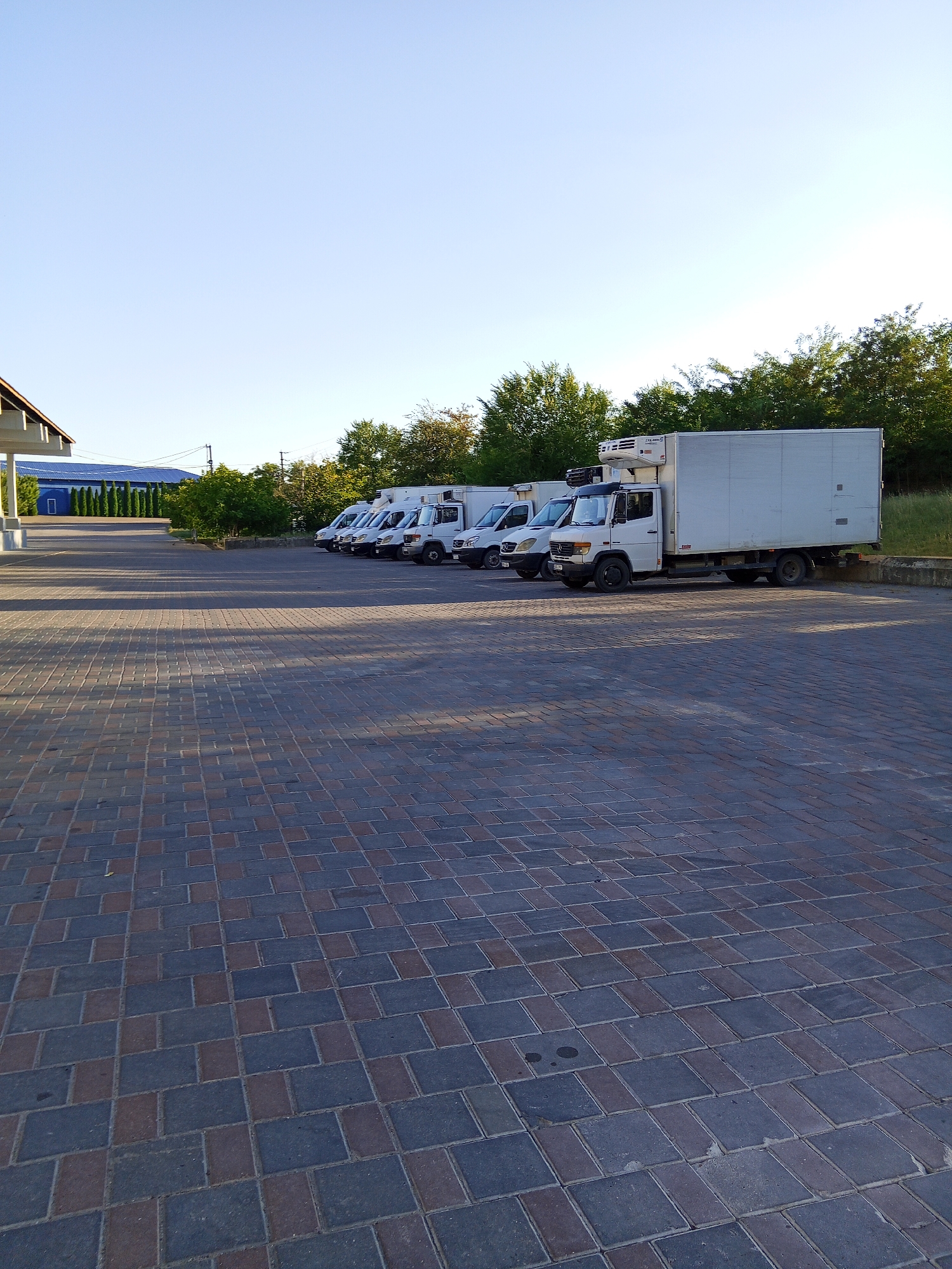 A row of refrigerated trucks are parked on a paved lot in front of a building. The trucks are white and appear to be delivery vehicles. The building is a light color with a blue roof. There are trees and a grassy area behind the building. The sky is clear and blue. The scene is illuminated by sunlight, casting shadows on the pavement. The parking lot is made of brick pavers in a mix of grey and red. The overall impression is one of a commercial or industrial area.