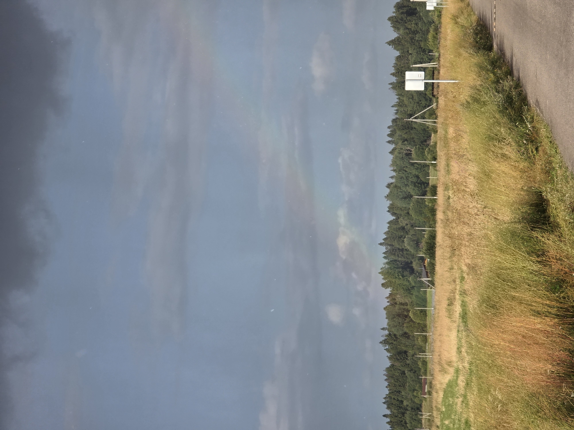 The image depicts a wide, rural landscape on an overcast day, with a subtle rainbow visible in the sky. The foreground is dominated by a field of tall, dry grass, predominantly golden-yellow with streaks of green. A narrow, paved road runs along the right edge of the frame, curving slightly into the distance. Beyond the field, a dense line of dark green coniferous trees forms a treeline. In the middle ground, behind the field, several white rectangular signs on poles are spaced out. There are also some sparsely populated structures, possibly sheds or small houses, nestled amongst the trees, and visible fence posts. The sky is a muted blue-grey with darker clouds overhead and lighter patches where the rainbow appears. The overall impression is one of a quiet, rural setting, likely on the outskirts of a town or village, with the weather suggesting recent or impending rain. While the image is not definitively in Glukhovo, Russia, the landscape is consistent with rural areas found in Russia. There are no people or animals present in the scene.